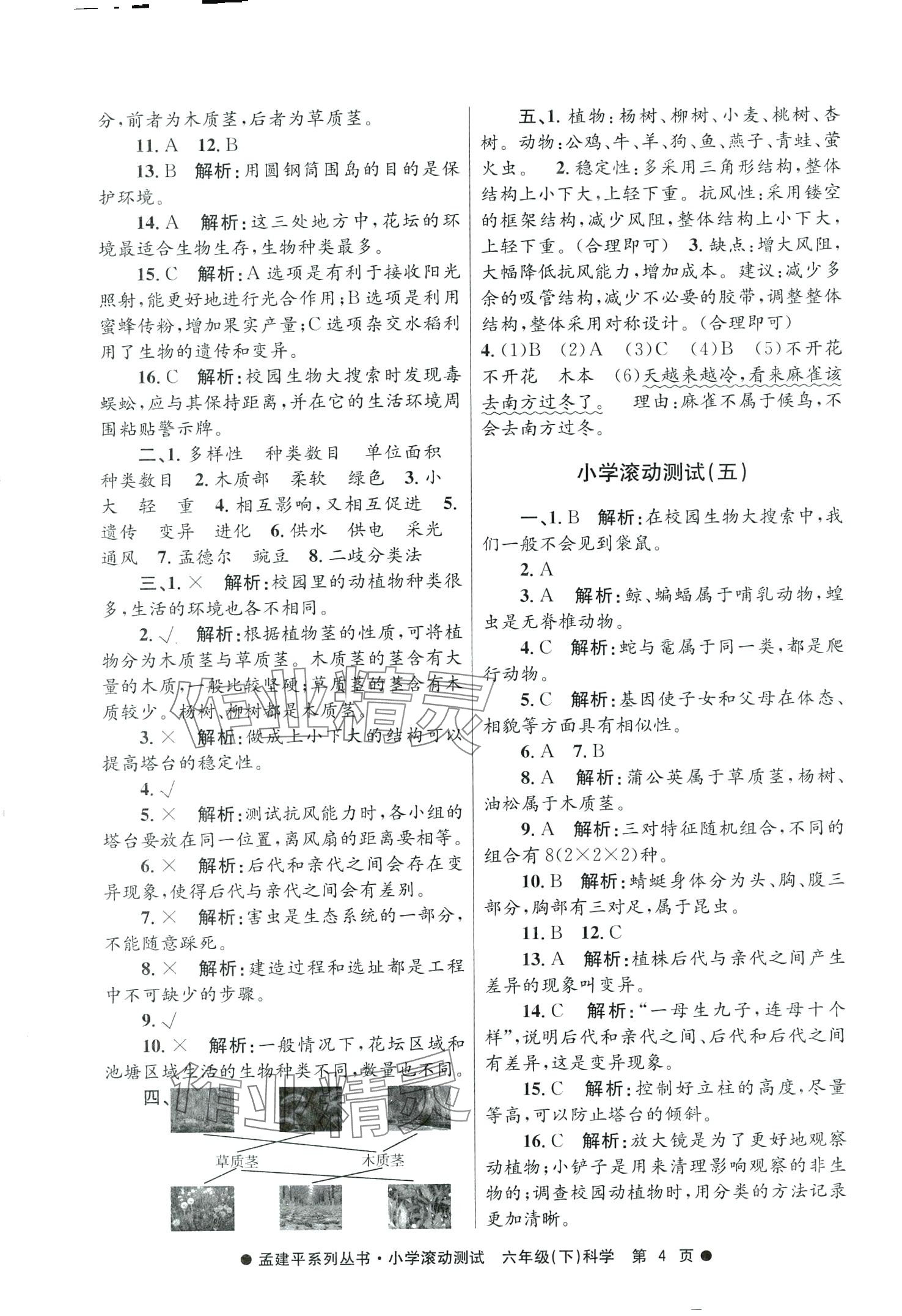 2024年孟建平小学滚动测试六年级科学下册教科版&nbsp;第4页