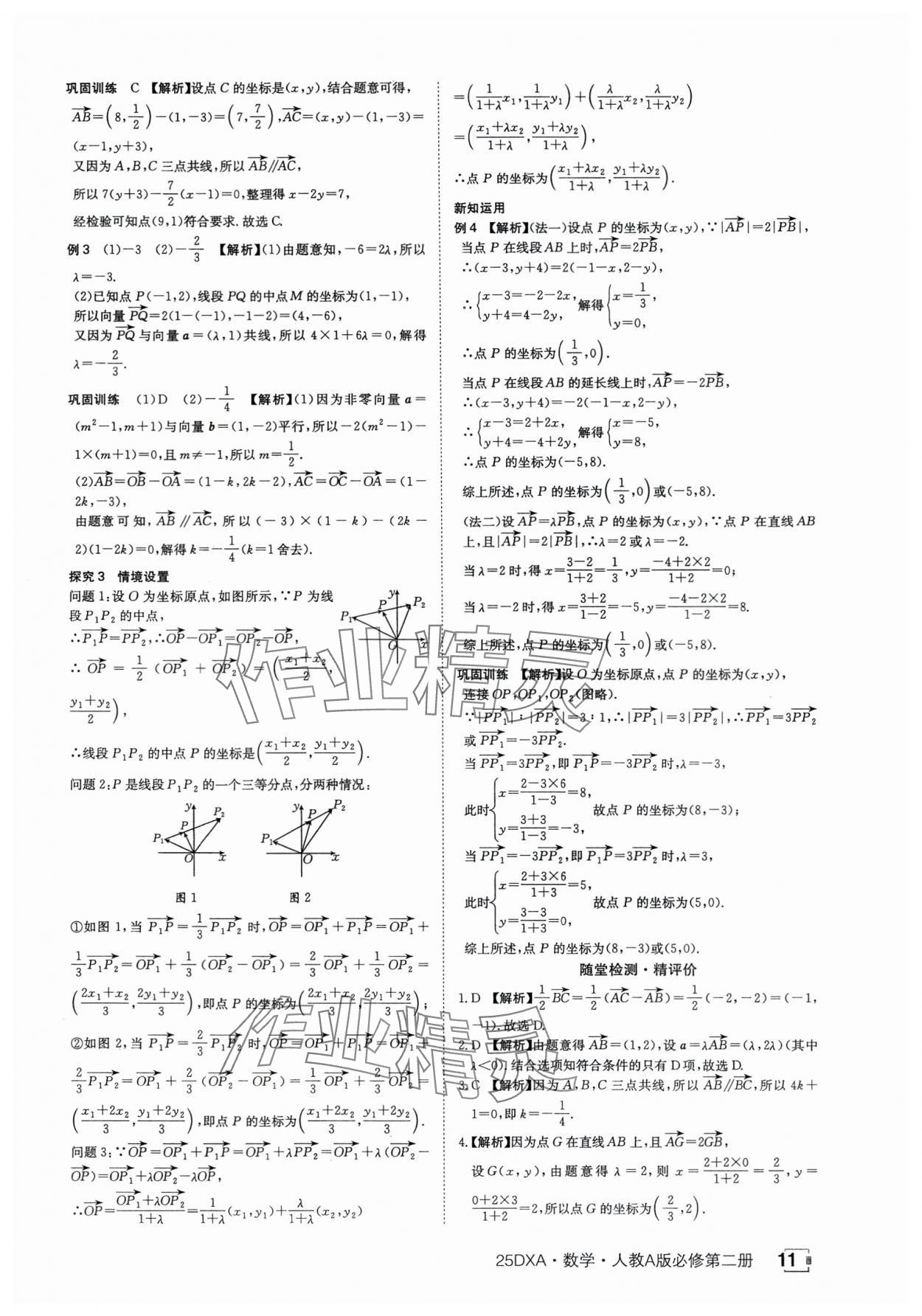 2025年金太阳导学案数学必修第二册人教版A版&nbsp;参考答案第11页