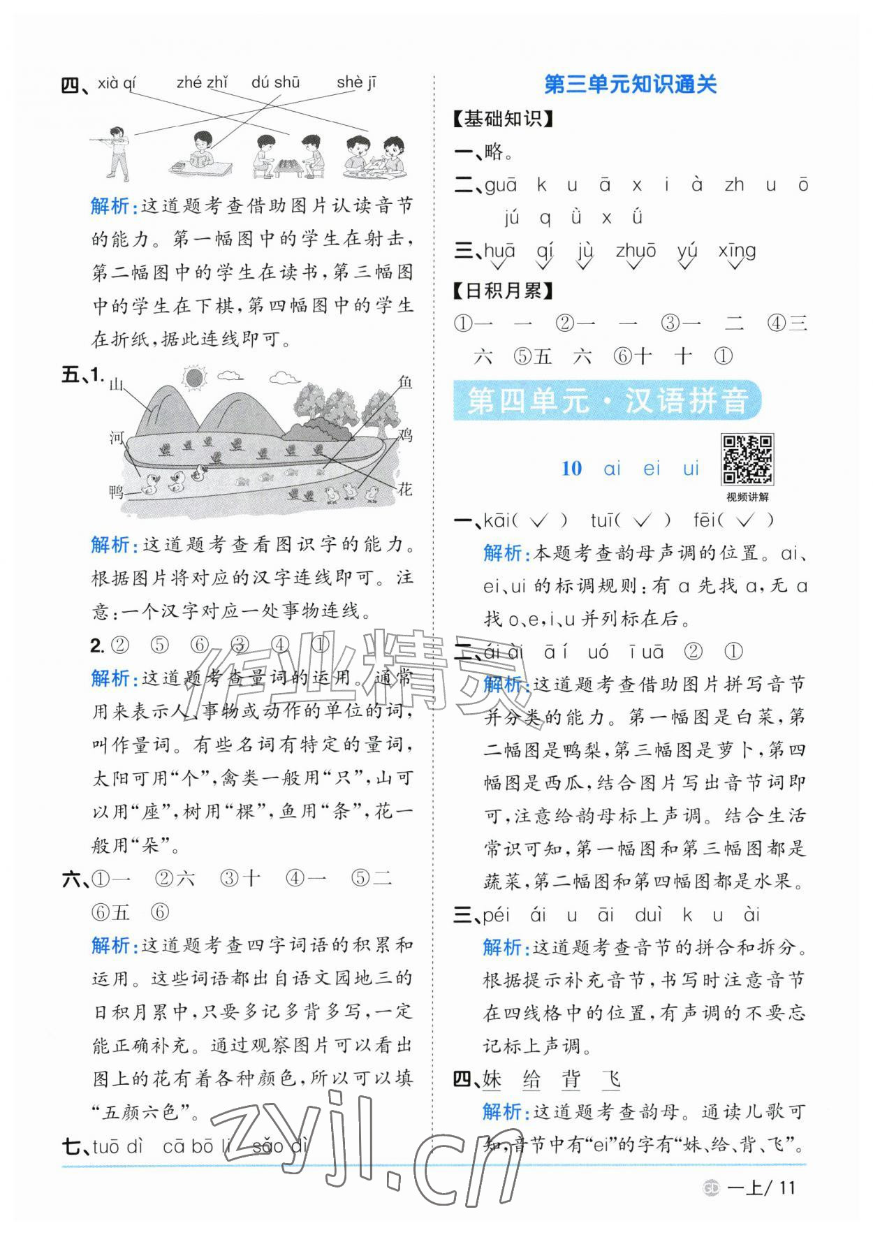 2026年阳光同学课时优化作业一年级语文上册人教版广东专版&nbsp;参考答案第11页