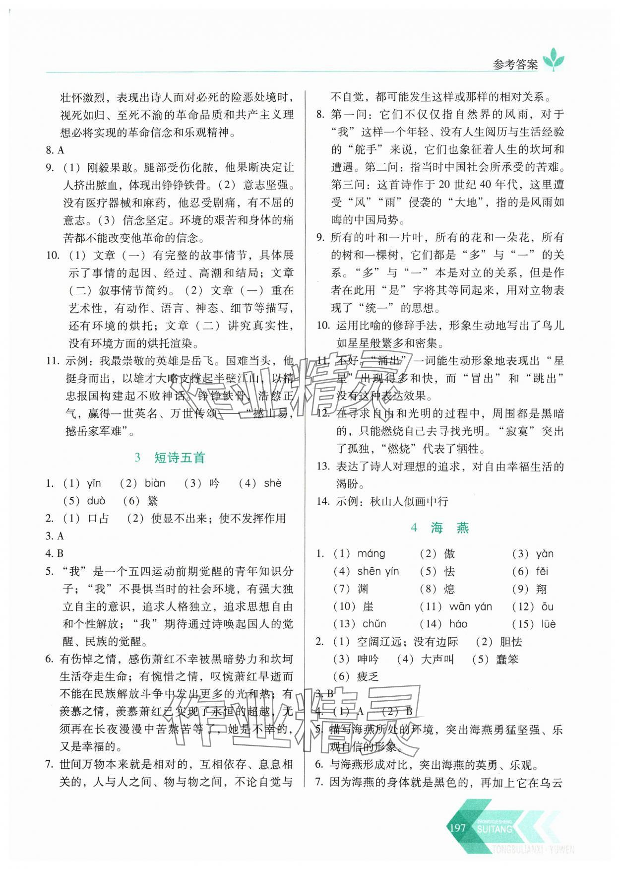 2024年随堂同步练习九年级语文下册人教版&nbsp;参考答案第2页