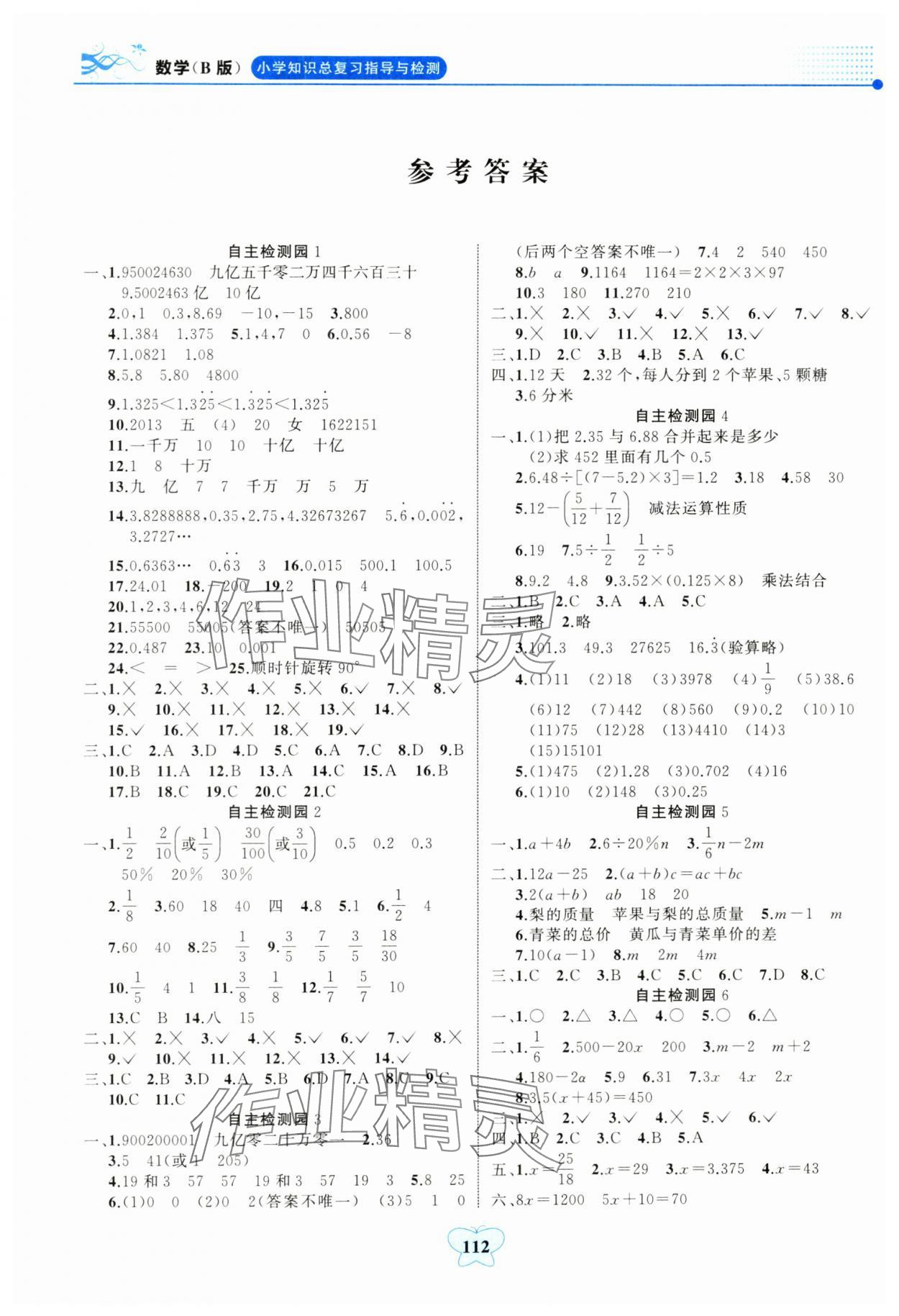 2024年大显身手小学知识总复习指导与检测数学人教版&nbsp;参考答案第1页