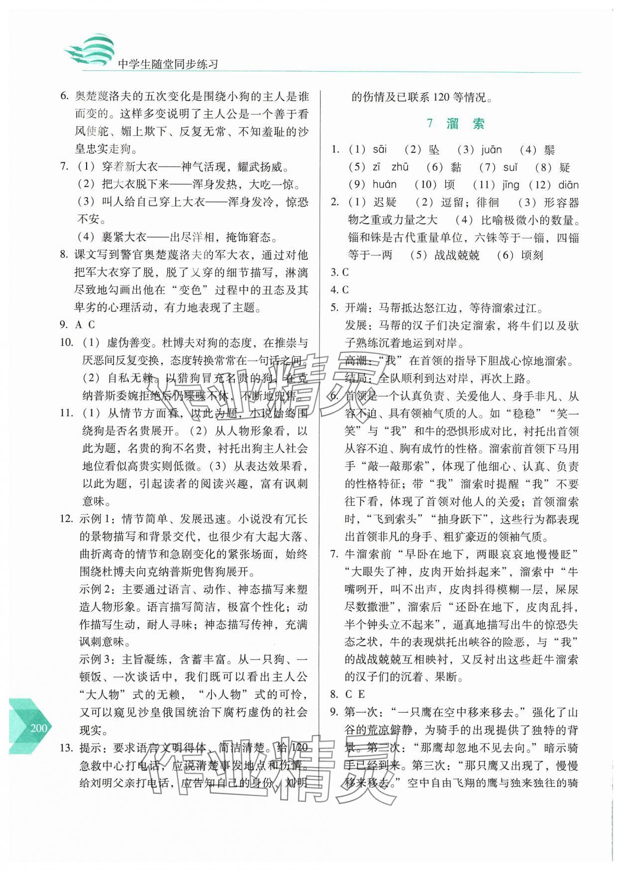 2024年随堂同步练习九年级语文下册人教版&nbsp;参考答案第5页