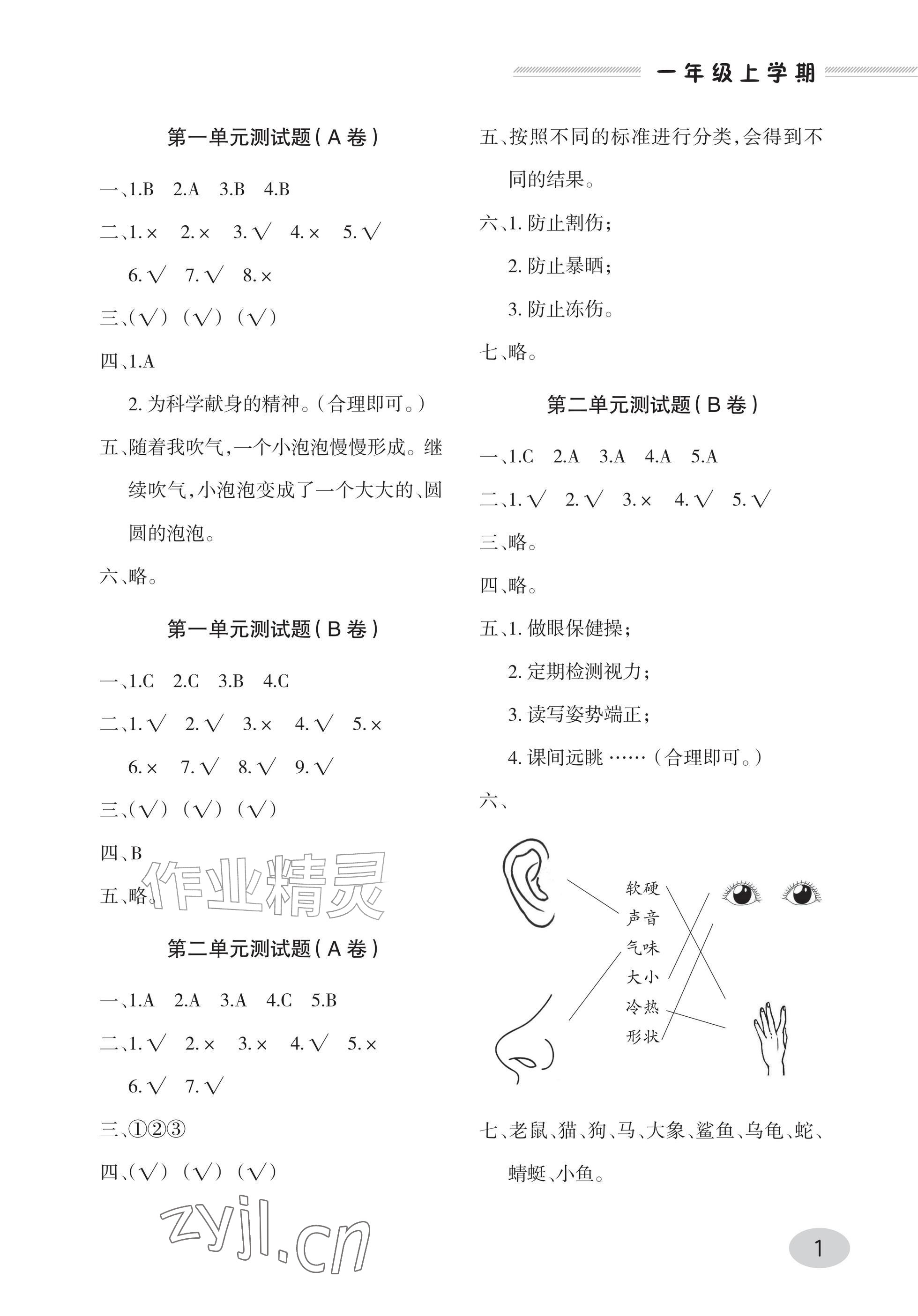 2025年单元自测试卷青岛出版社一年级科学上册青岛版&nbsp;参考答案第1页