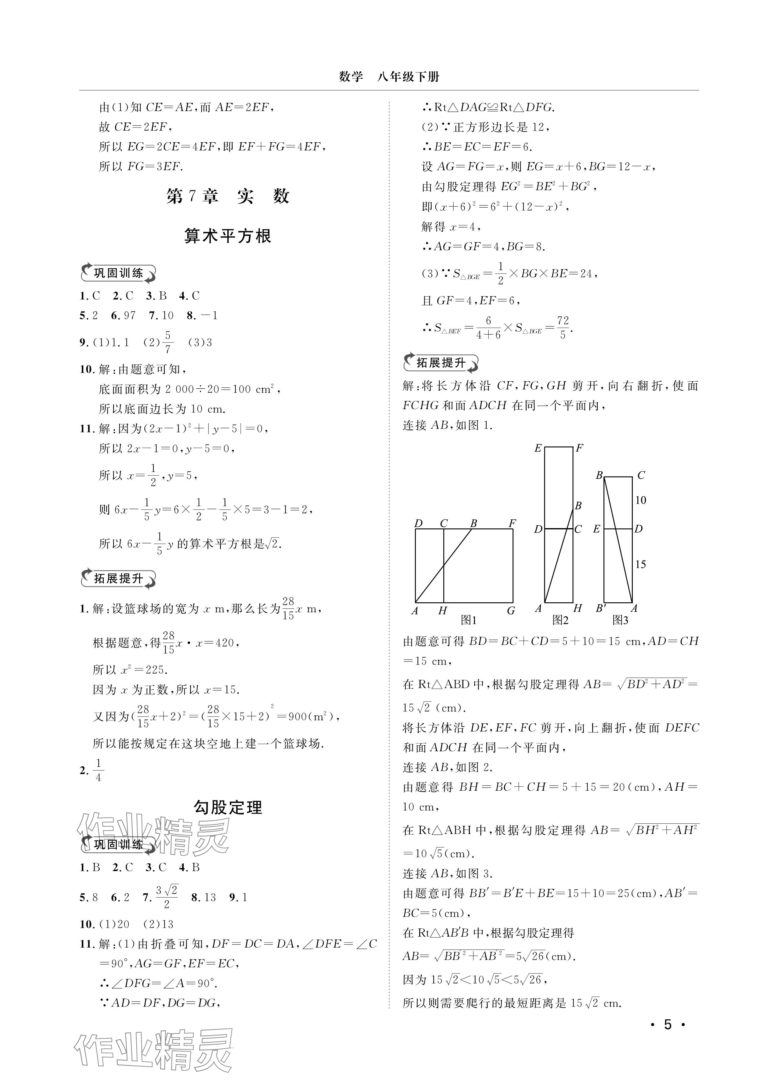 2025年行知天下八年级数学下册青岛版&nbsp;参考答案第5页