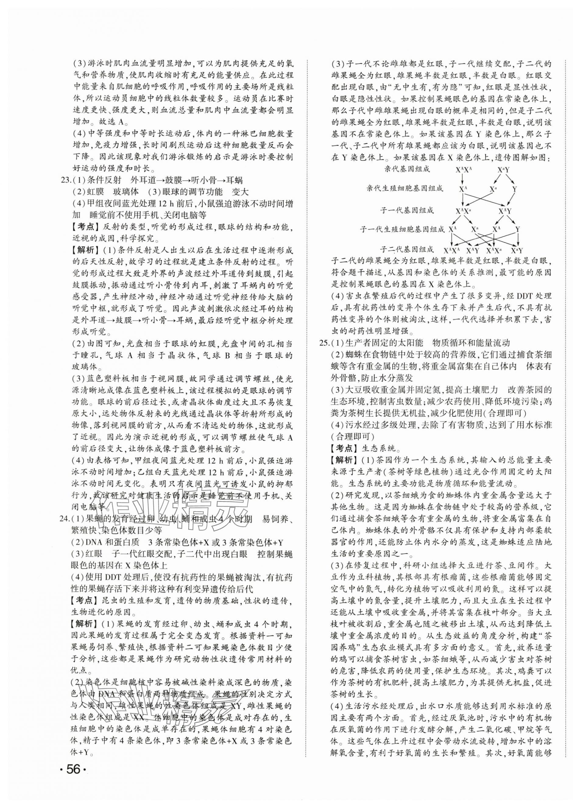 2025年星跃龙门中考真题汇编卷生物山东专版&nbsp;第7页