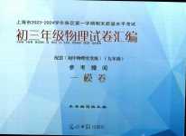 2024年初三年级试卷汇编物理上海专版
