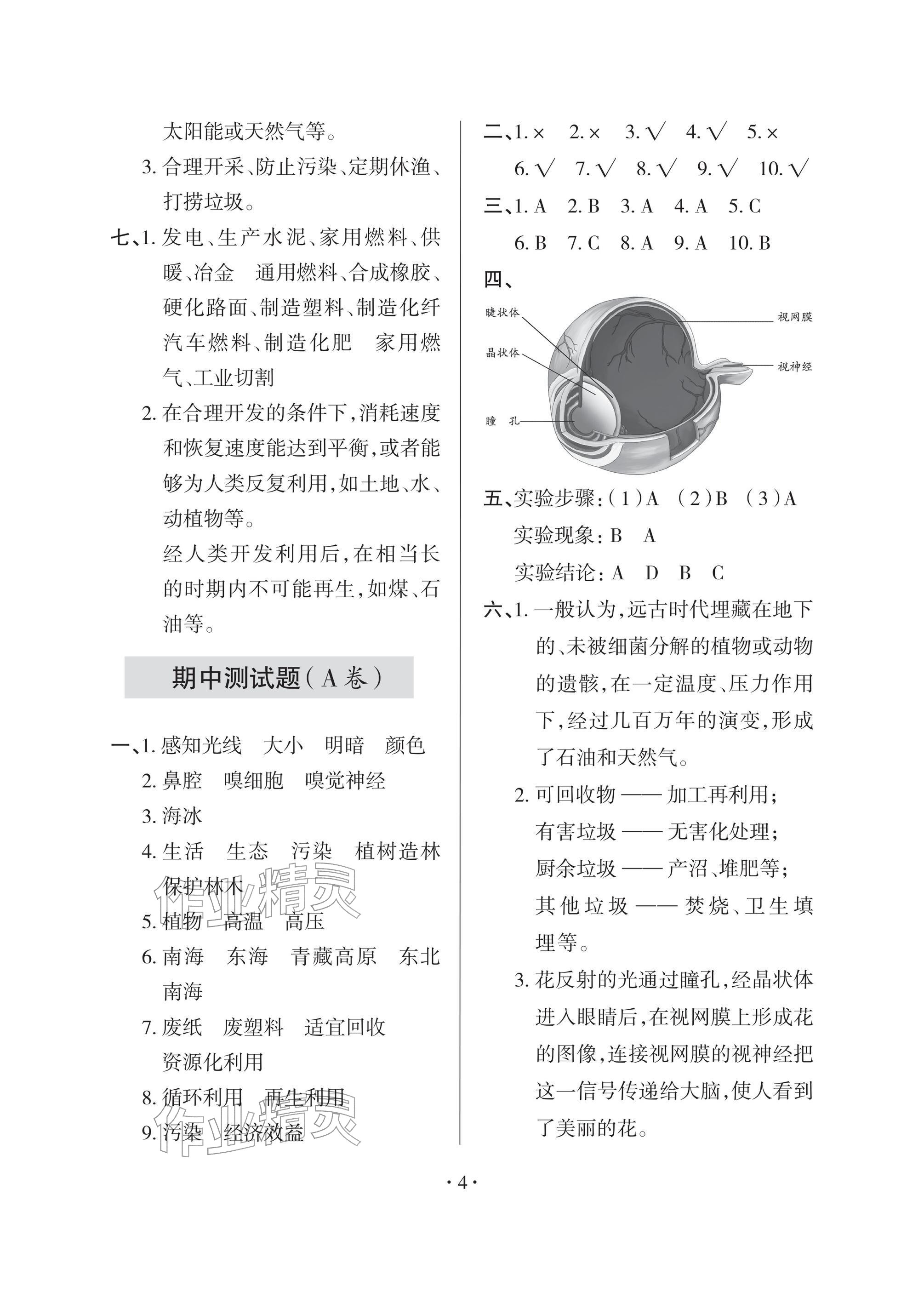 2026年单元自测试卷青岛出版社六年级科学下册青岛版&nbsp;参考答案第4页