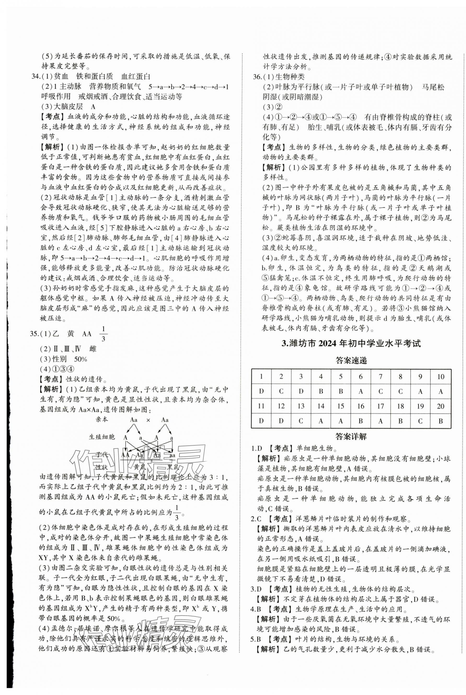 2025年星跃龙门中考真题汇编卷生物山东专版&nbsp;第5页