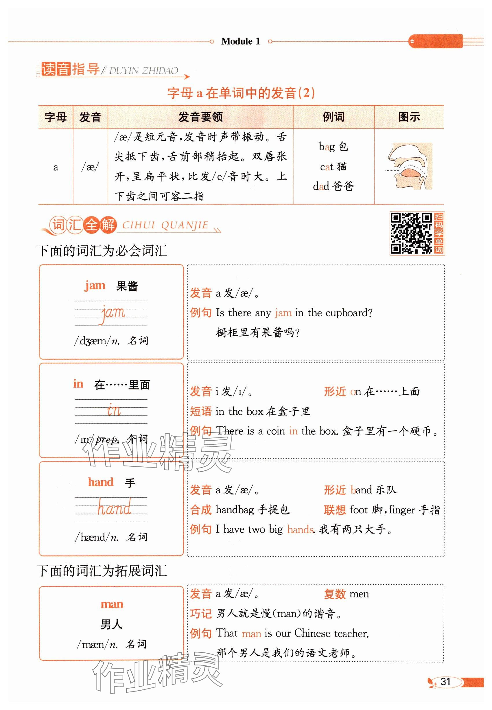 2024年教材课本三年级英语上册沪教版54制&nbsp;参考答案第31页
