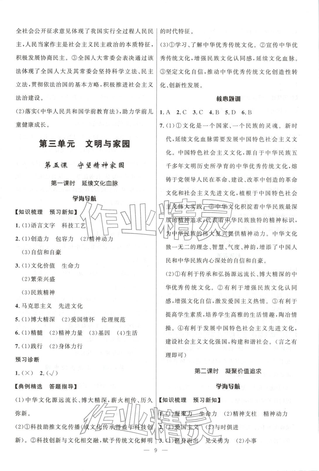2025年顶尖课课练九年级道德与法治全一册人教版贵州专版&nbsp;第9页