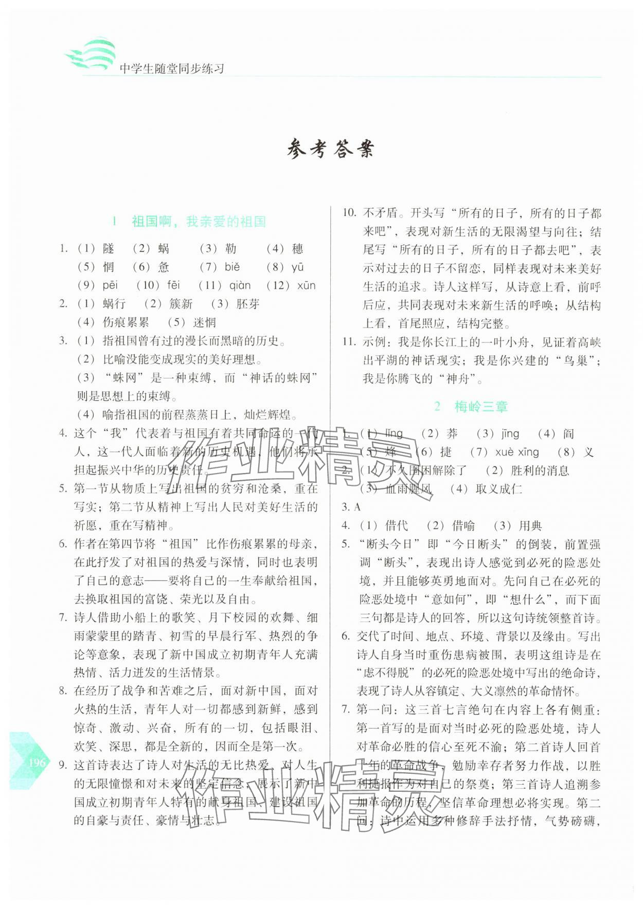 2025年随堂同步练习九年级语文下册人教版&nbsp;参考答案第1页