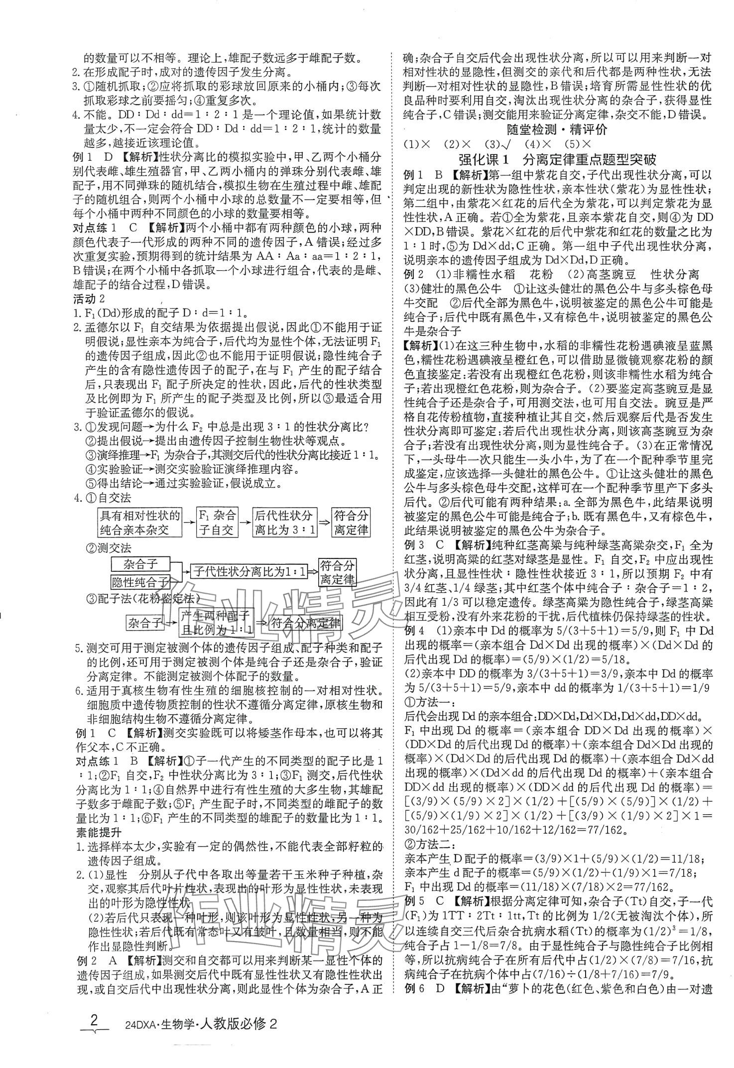 2024年金太阳导学案高中生物必修2人教版新教材&nbsp;第2页
