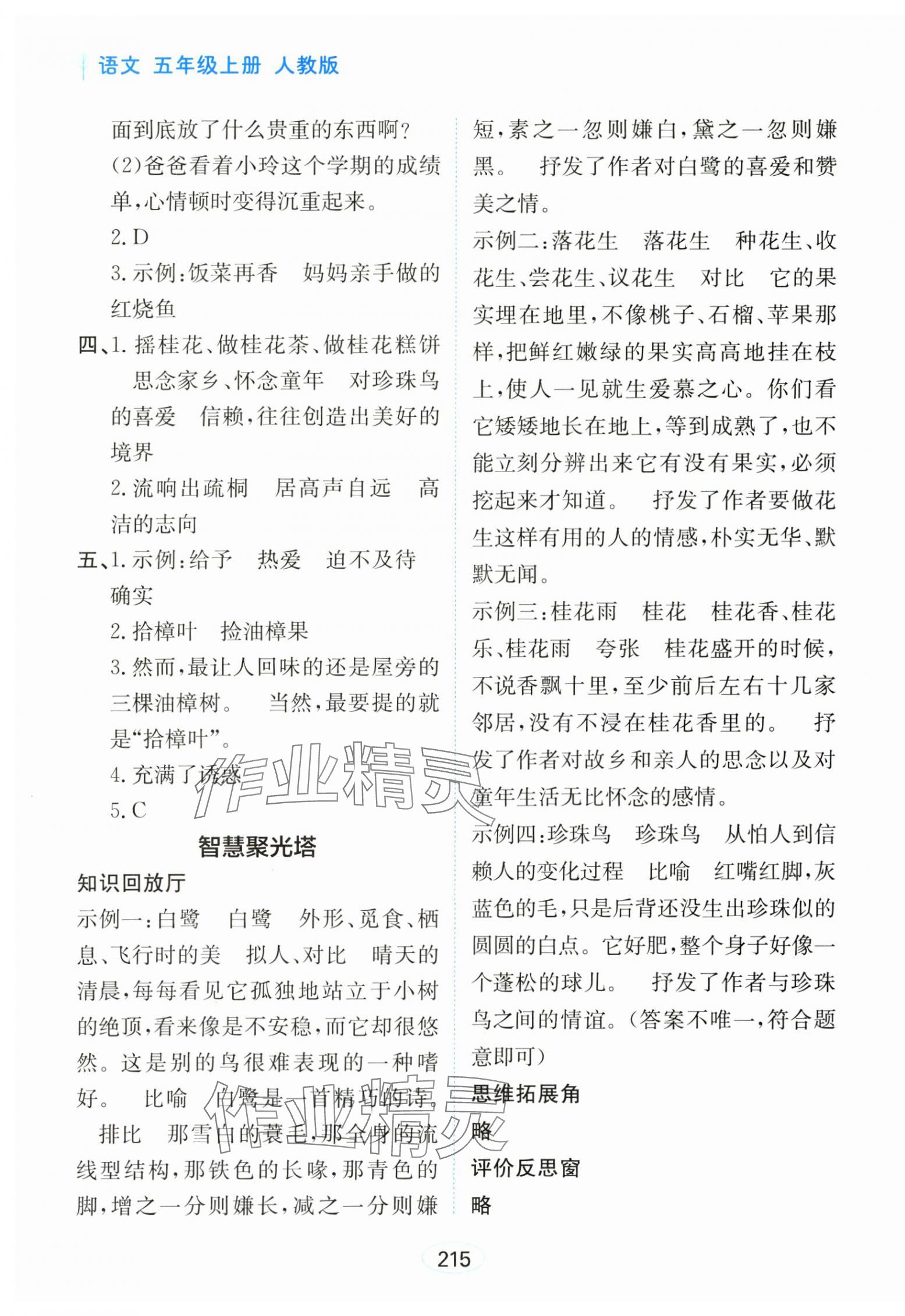 2024年资源与评价黑龙江教育出版社五年级语文上册人教版&nbsp;第5页