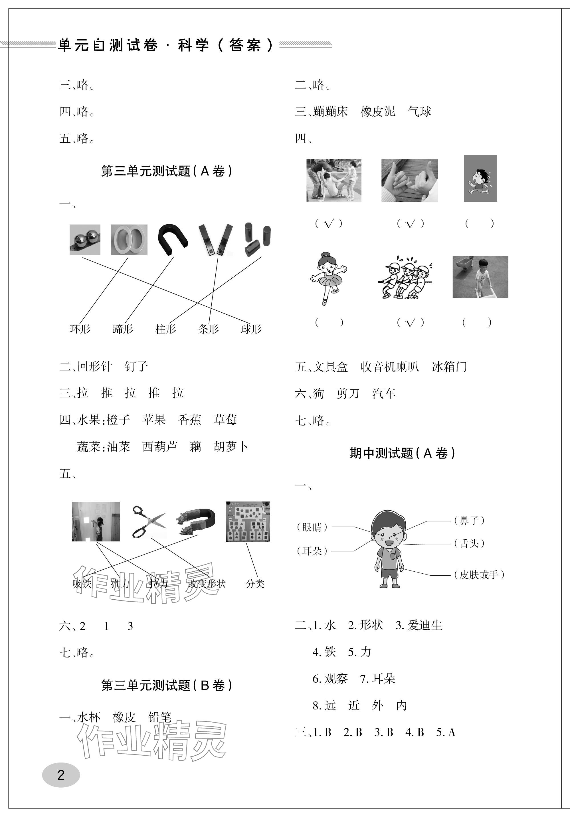2023年单元自测试卷青岛出版社一年级科学上册青岛版&nbsp;参考答案第2页