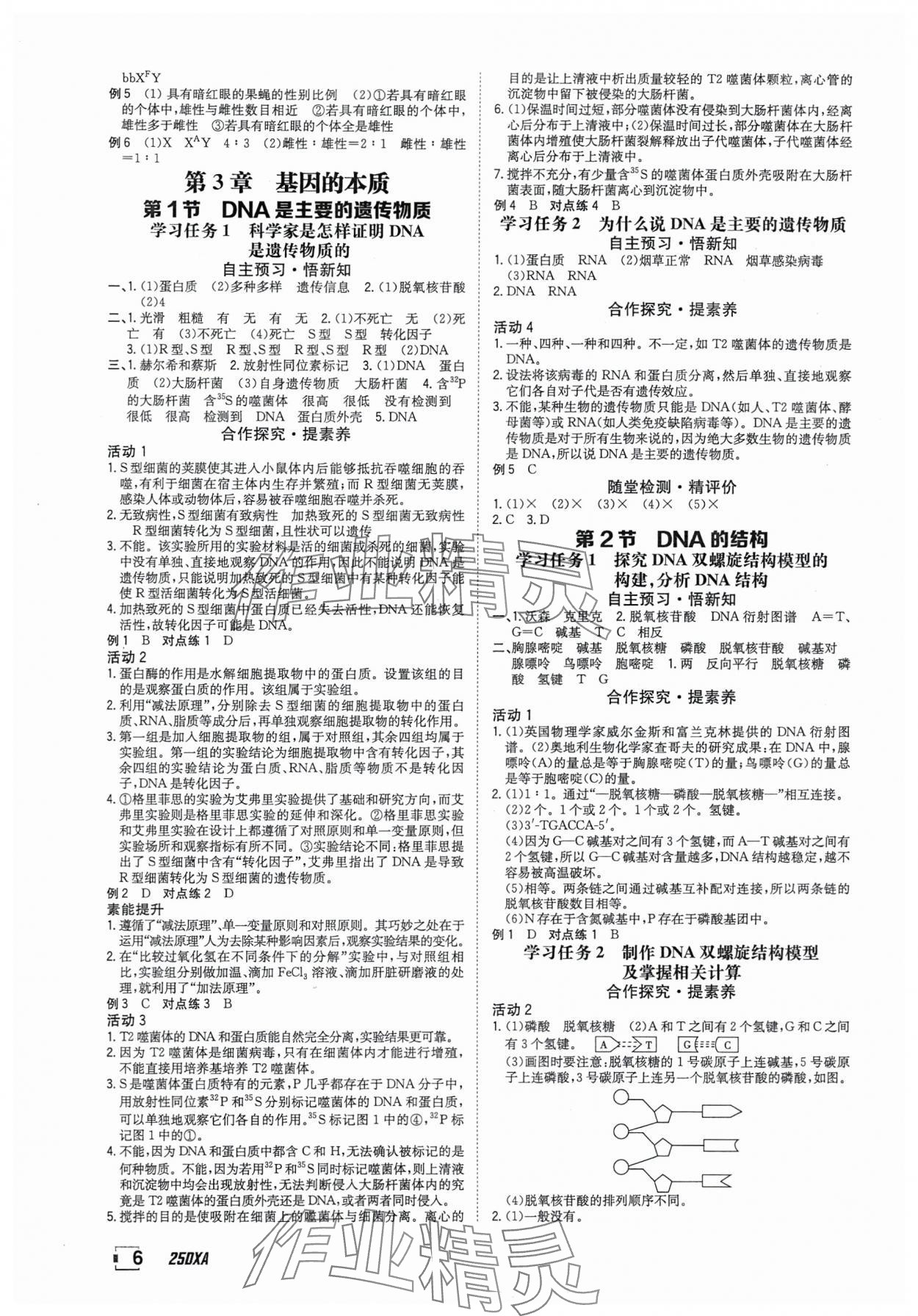 2025年金太阳导学案高中生物必修2人教版&nbsp;参考答案第6页