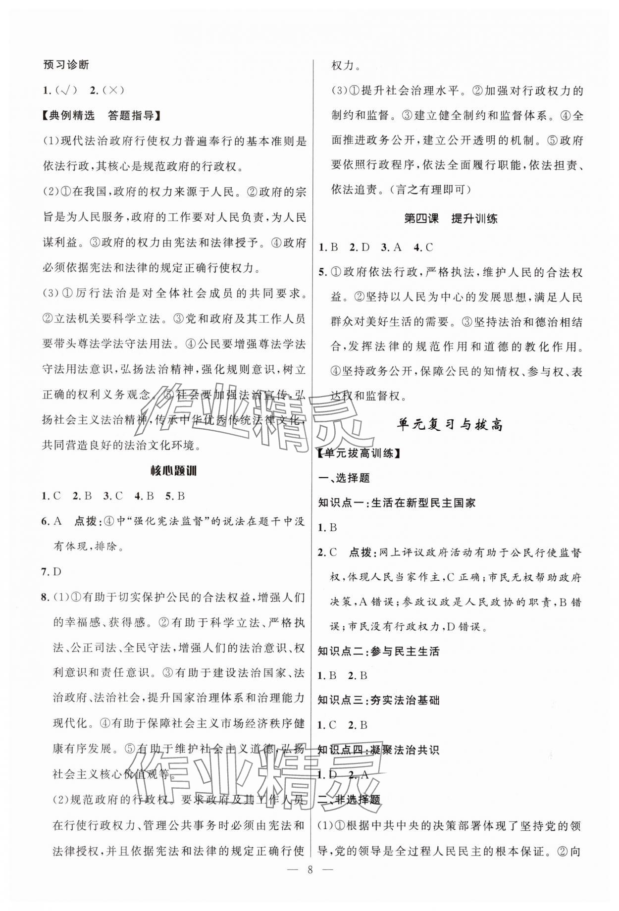 2025年顶尖课课练九年级道德与法治全一册人教版贵州专版&nbsp;第8页