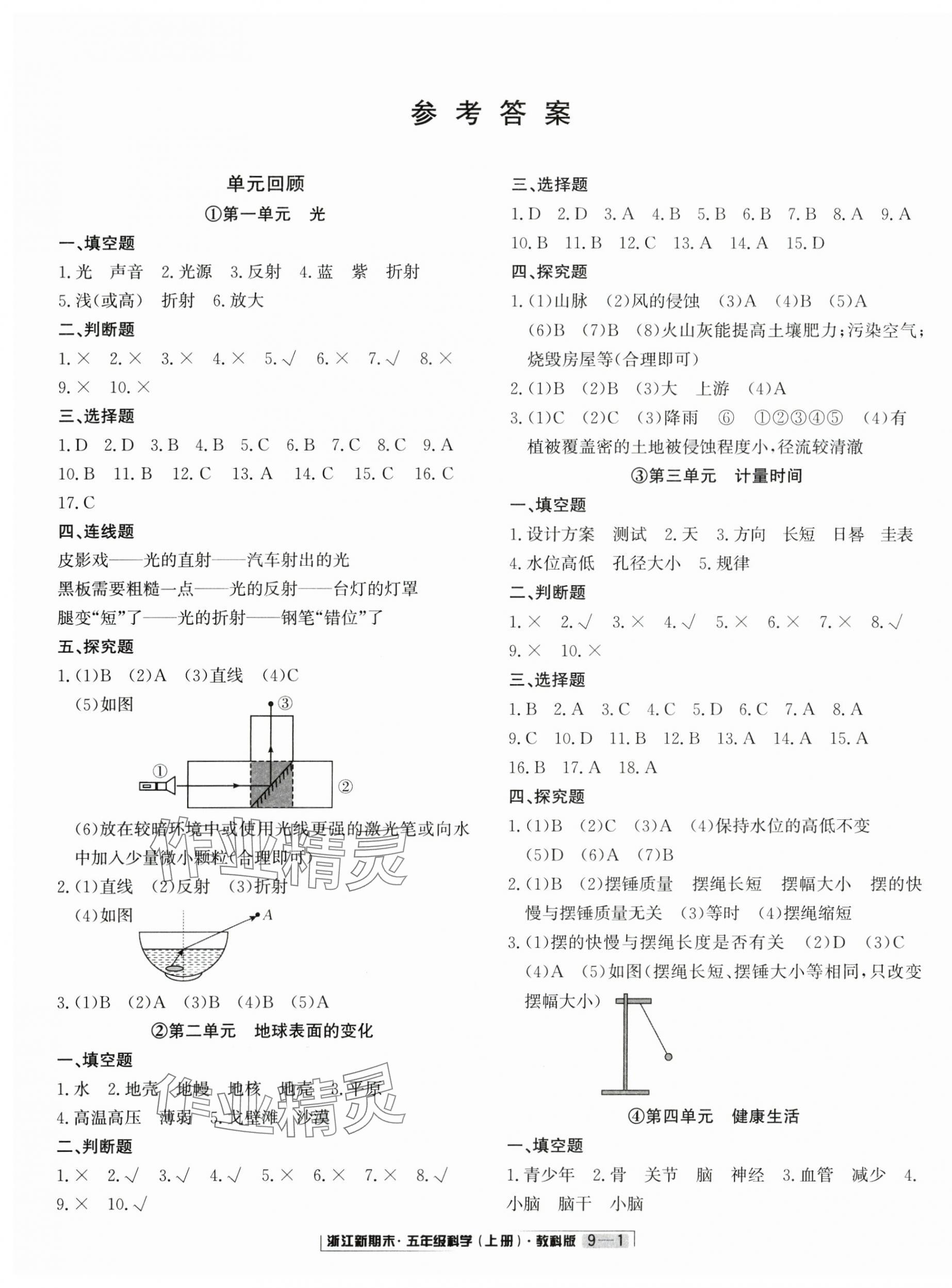2024年浙江新期末五年级科学上册教科版&nbsp;第1页