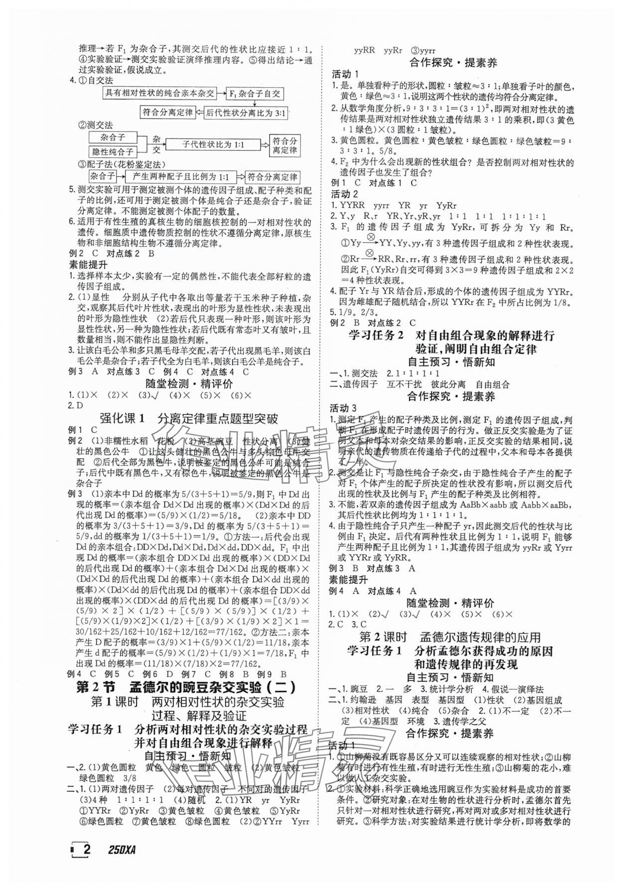 2025年金太阳导学案高中生物必修2人教版&nbsp;参考答案第2页