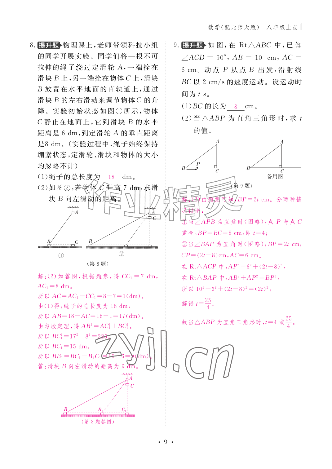 2026年作业本江西教育出版社八年级数学上册北师大版&nbsp;参考答案第9页