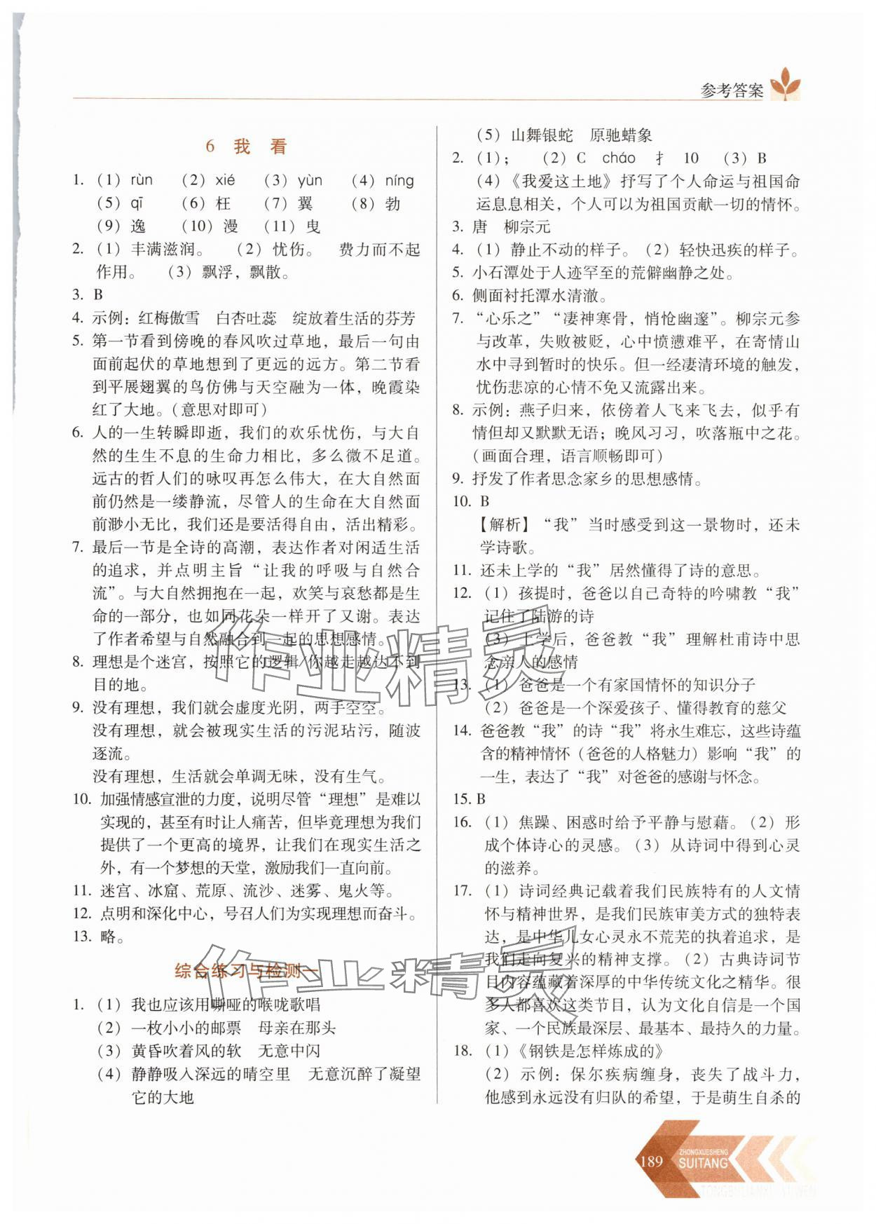 2025年随堂同步练习九年级语文上册人教版&nbsp;参考答案第4页