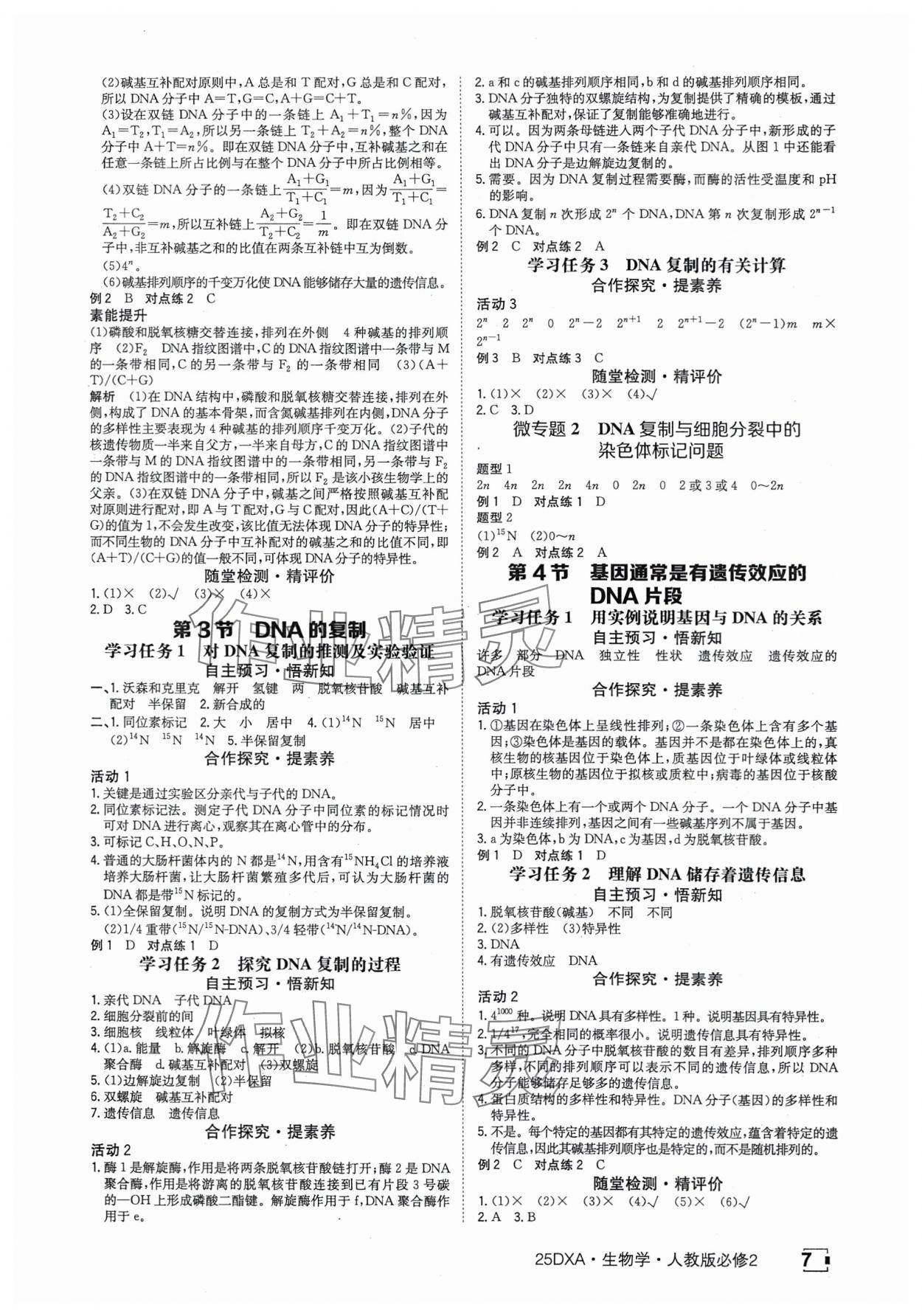 2025年金太阳导学案高中生物必修2人教版&nbsp;参考答案第7页
