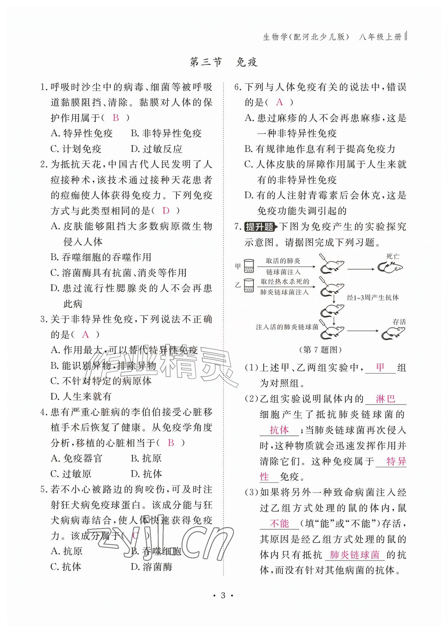 2026年作业本江西教育出版社八年级生物上册冀少版&nbsp;参考答案第3页
