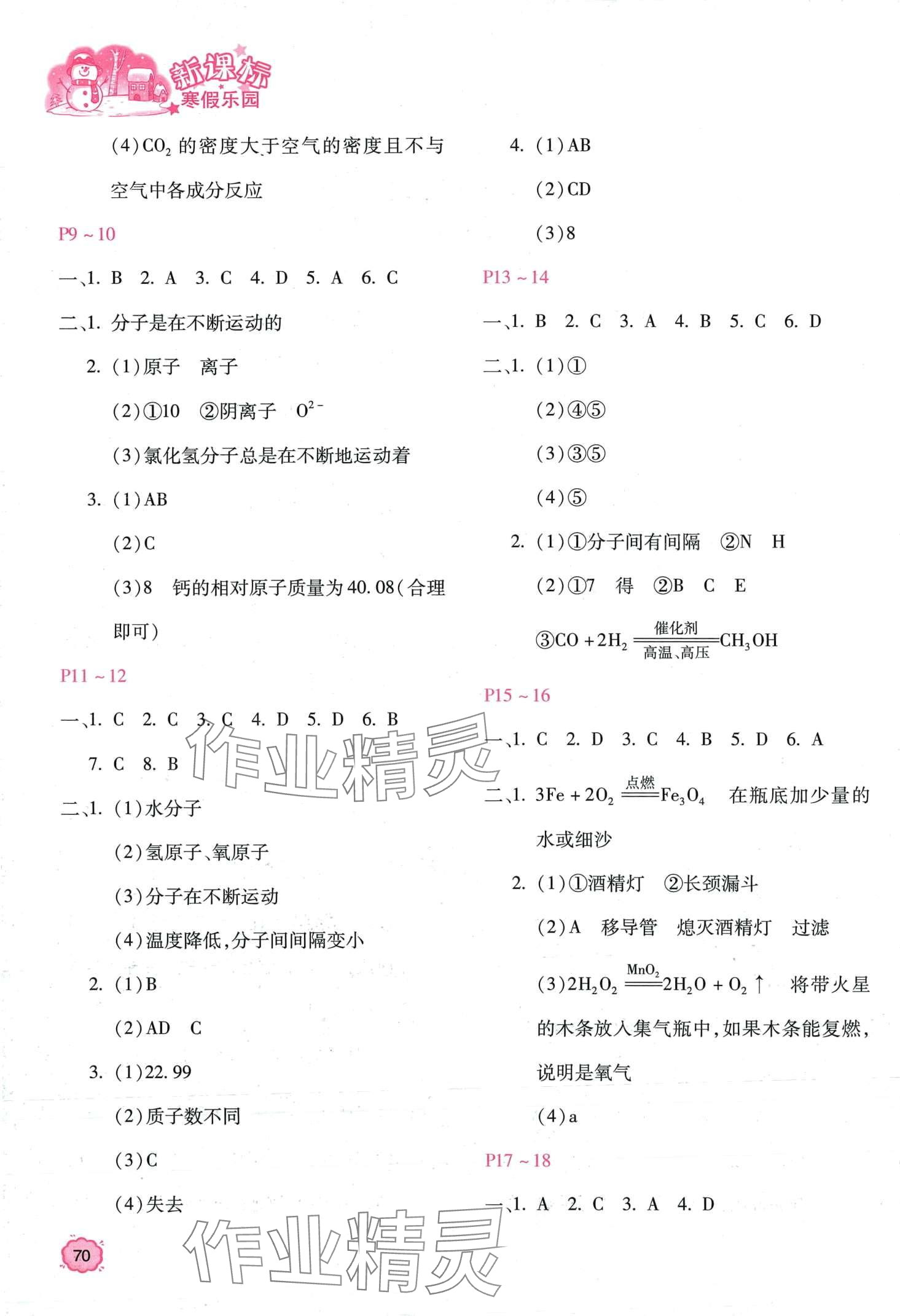 2024年新课标寒假乐园九年级化学&nbsp;第2页