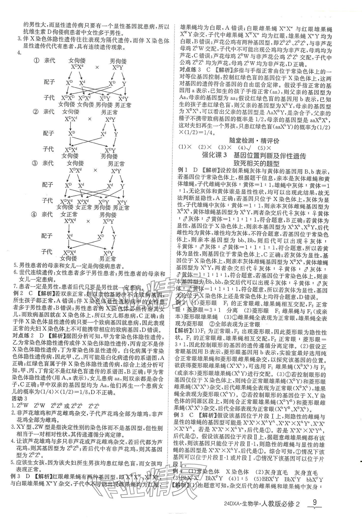 2024年金太阳导学案高中生物必修2人教版新教材&nbsp;第9页