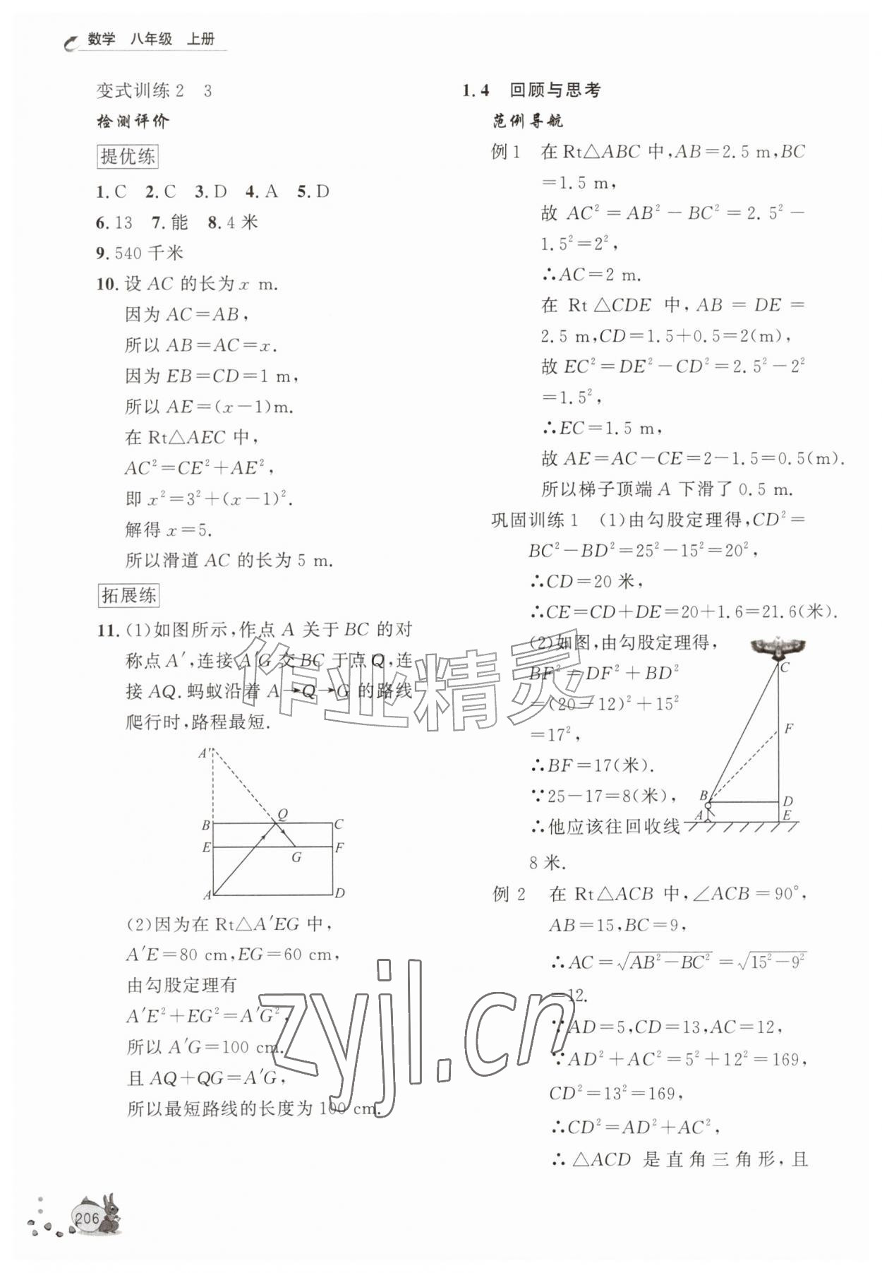 2026年新课程助学丛书八年级数学上册北师大版&nbsp;第4页