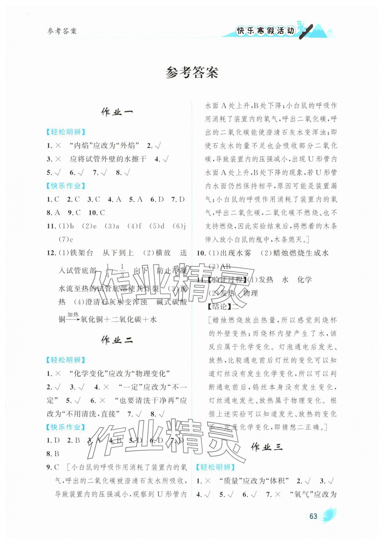 2025年快乐寒假活动九年级化学人教版&nbsp;第1页