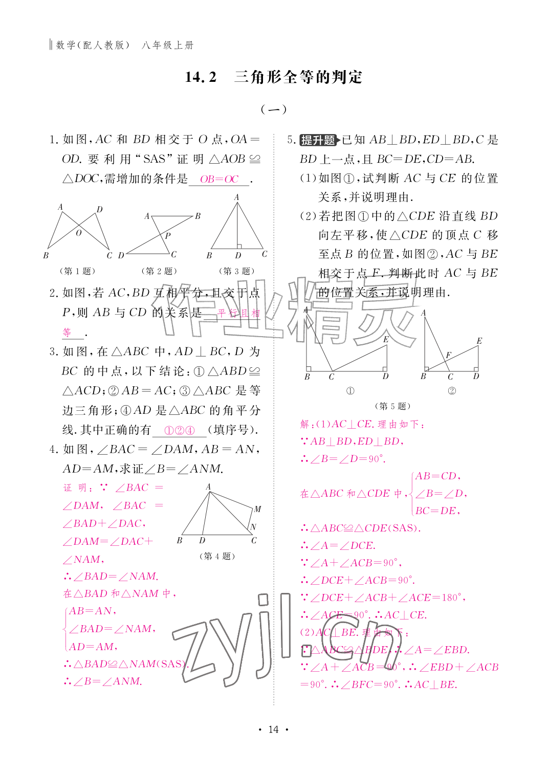 2026年作业本江西教育出版社八年级数学上册人教版&nbsp;参考答案第14页