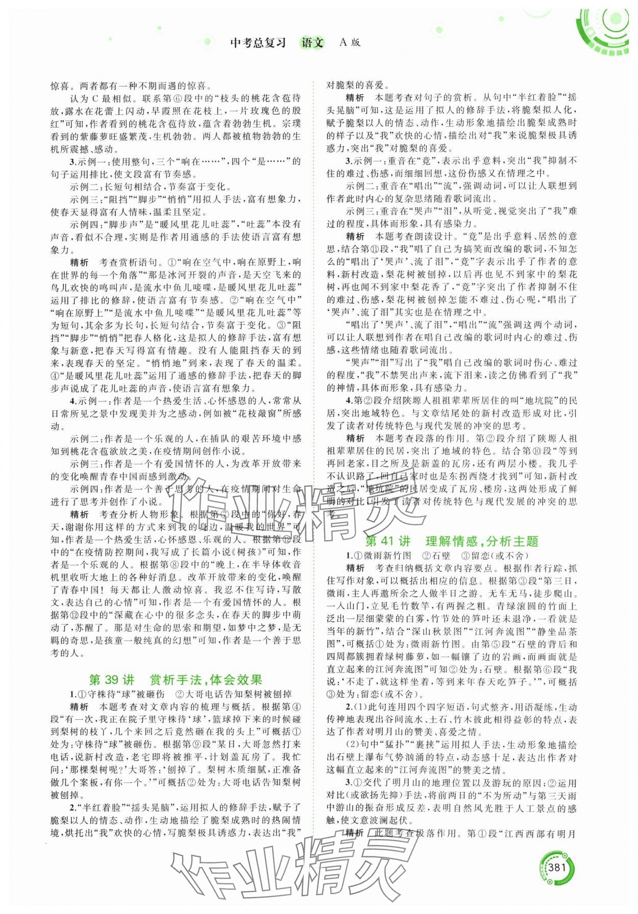 2024年中考先锋中考总复习语文人教版&nbsp;参考答案第4页