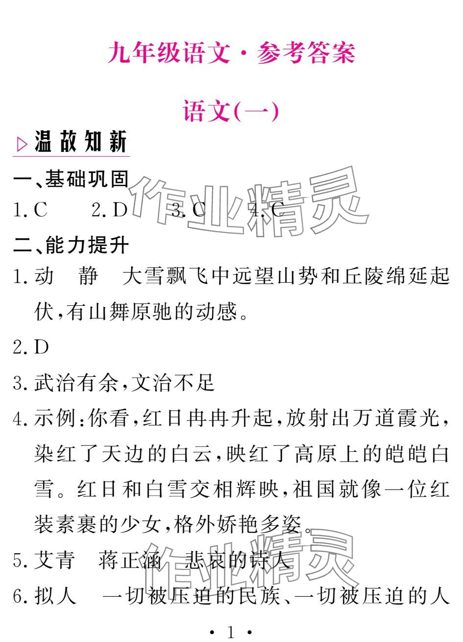 2025年天舟文化精彩寒假团结出版社九年级语文&nbsp;参考答案第1页