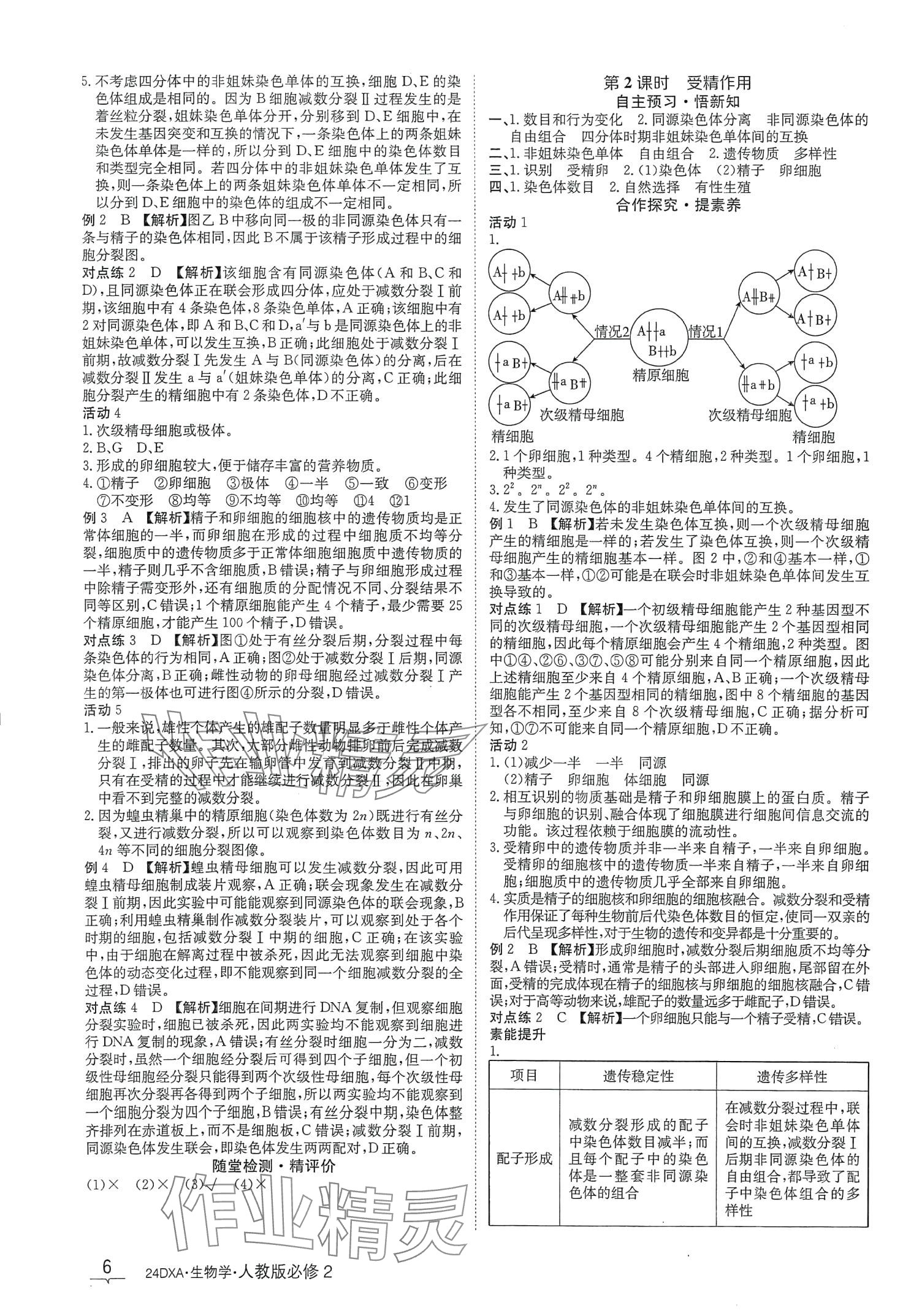 2024年金太阳导学案高中生物必修2人教版新教材&nbsp;第6页