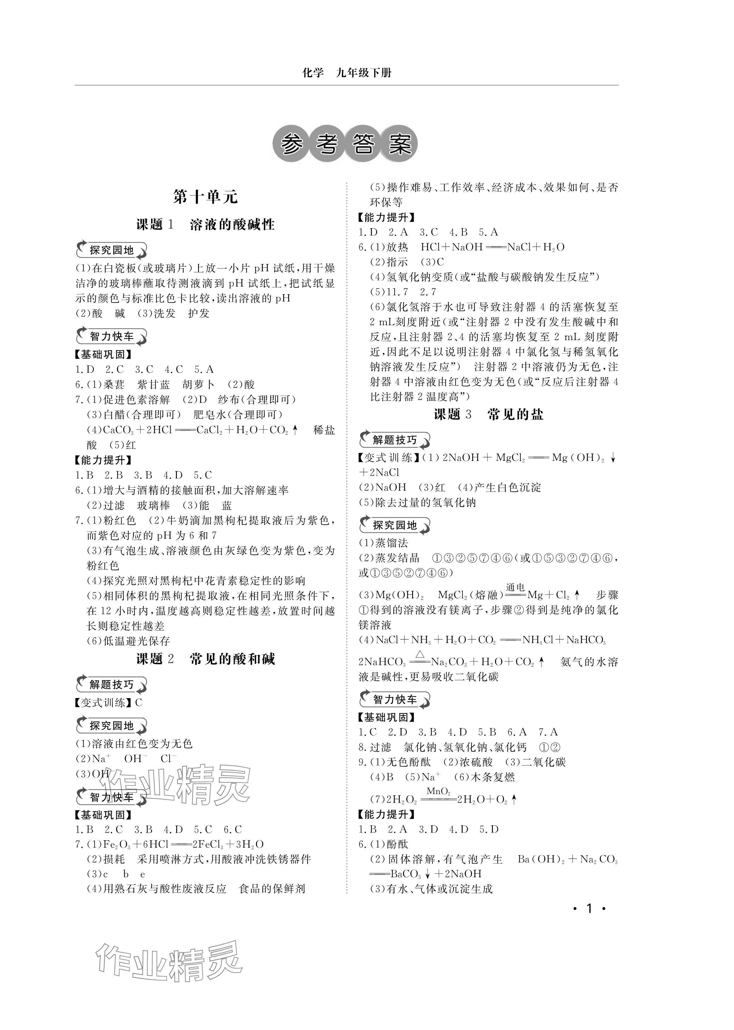 2025年行知天下九年级化学下册人教版&nbsp;参考答案第1页