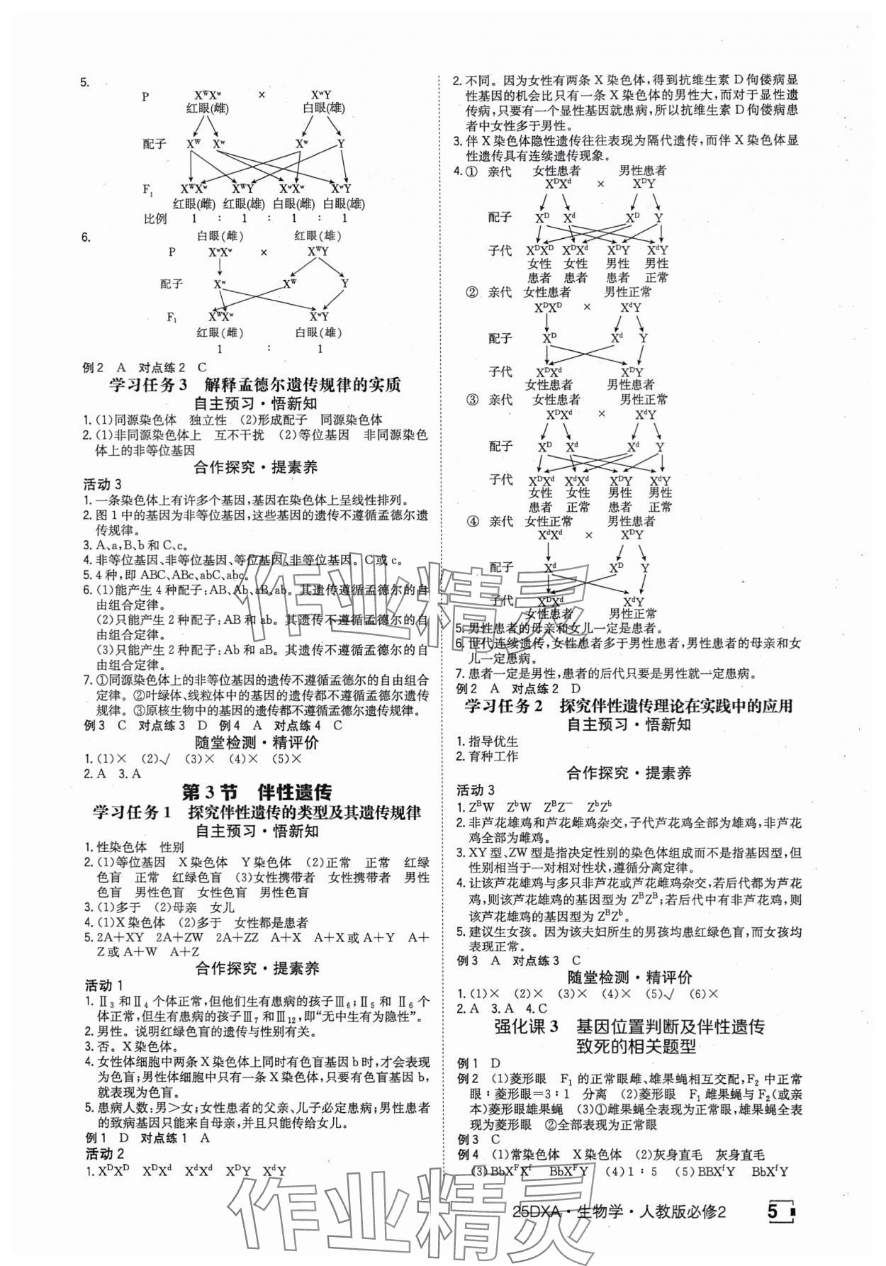 2025年金太阳导学案高中生物必修2人教版&nbsp;参考答案第5页