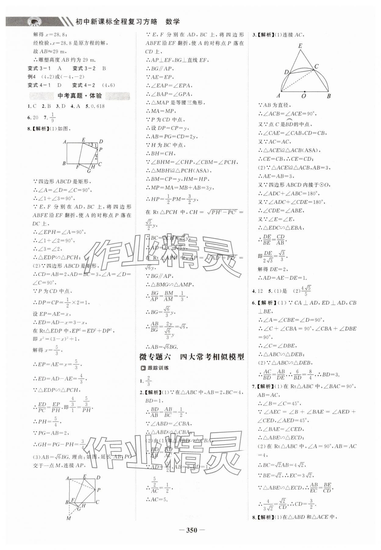 2025年世纪金榜初中全程复习方略数学&nbsp;第14页