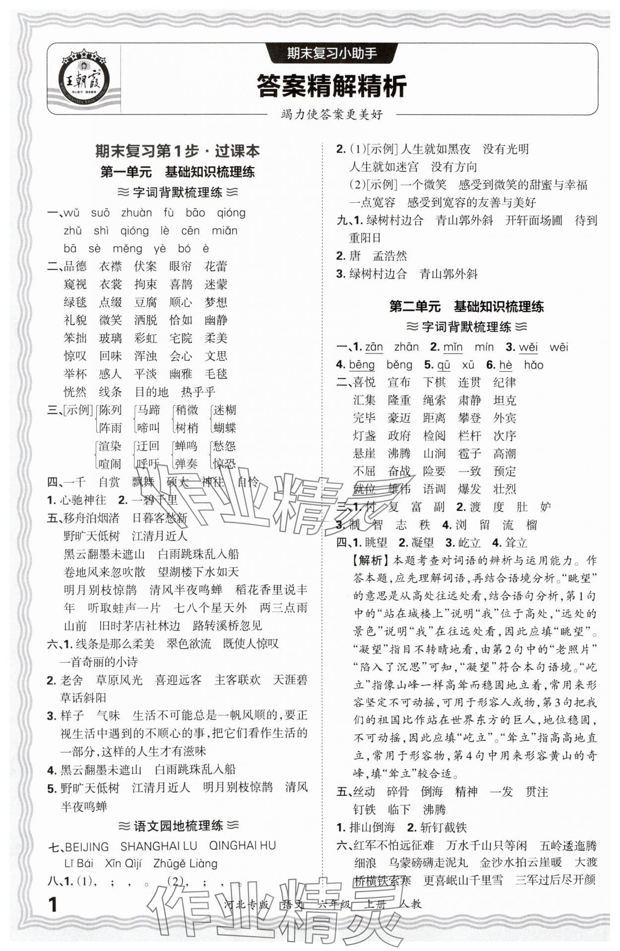 2024年王朝霞各地期末试卷精选六年级语文上册人教版河北专版&nbsp;参考答案第1页