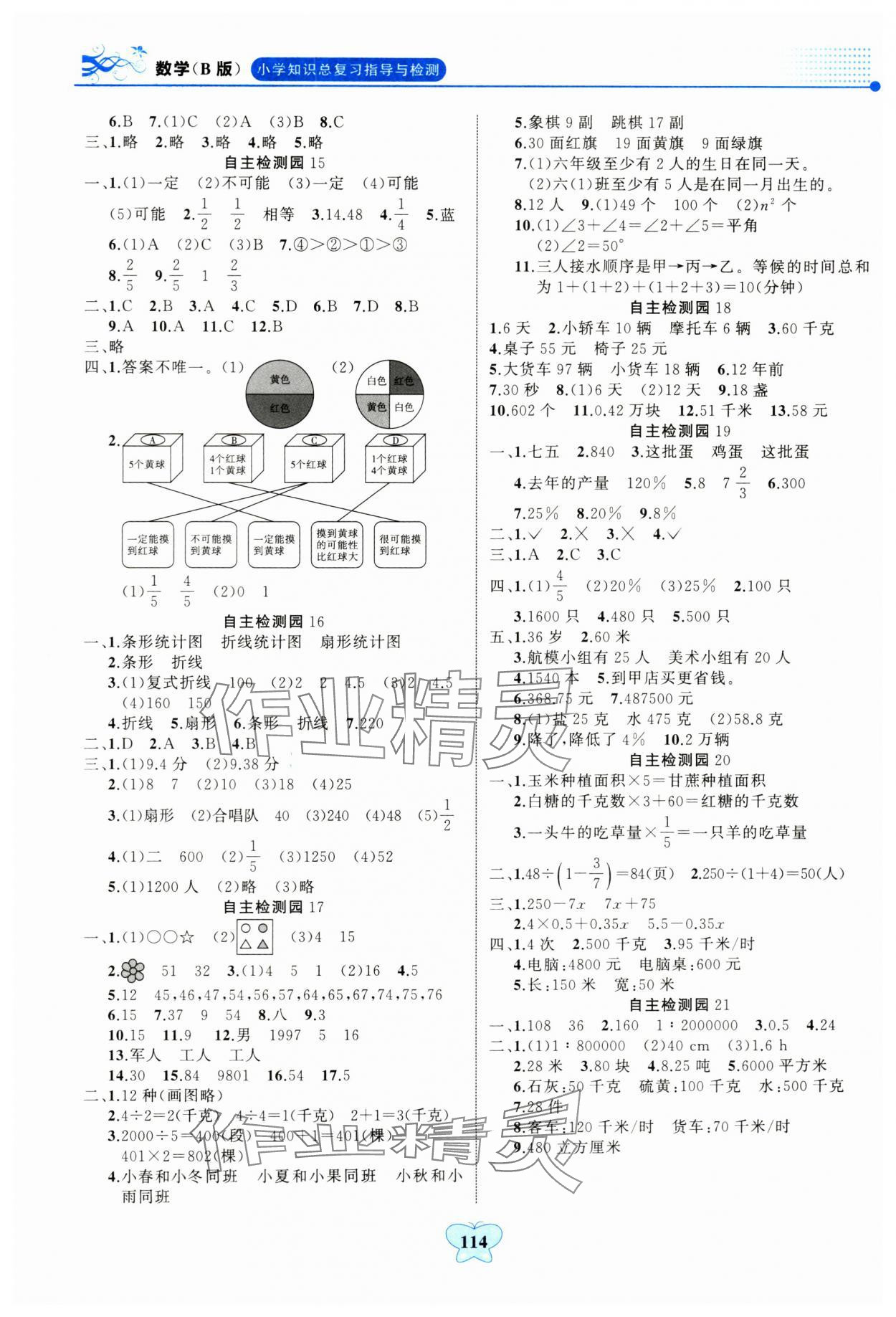 2024年大显身手小学知识总复习指导与检测数学人教版&nbsp;参考答案第3页