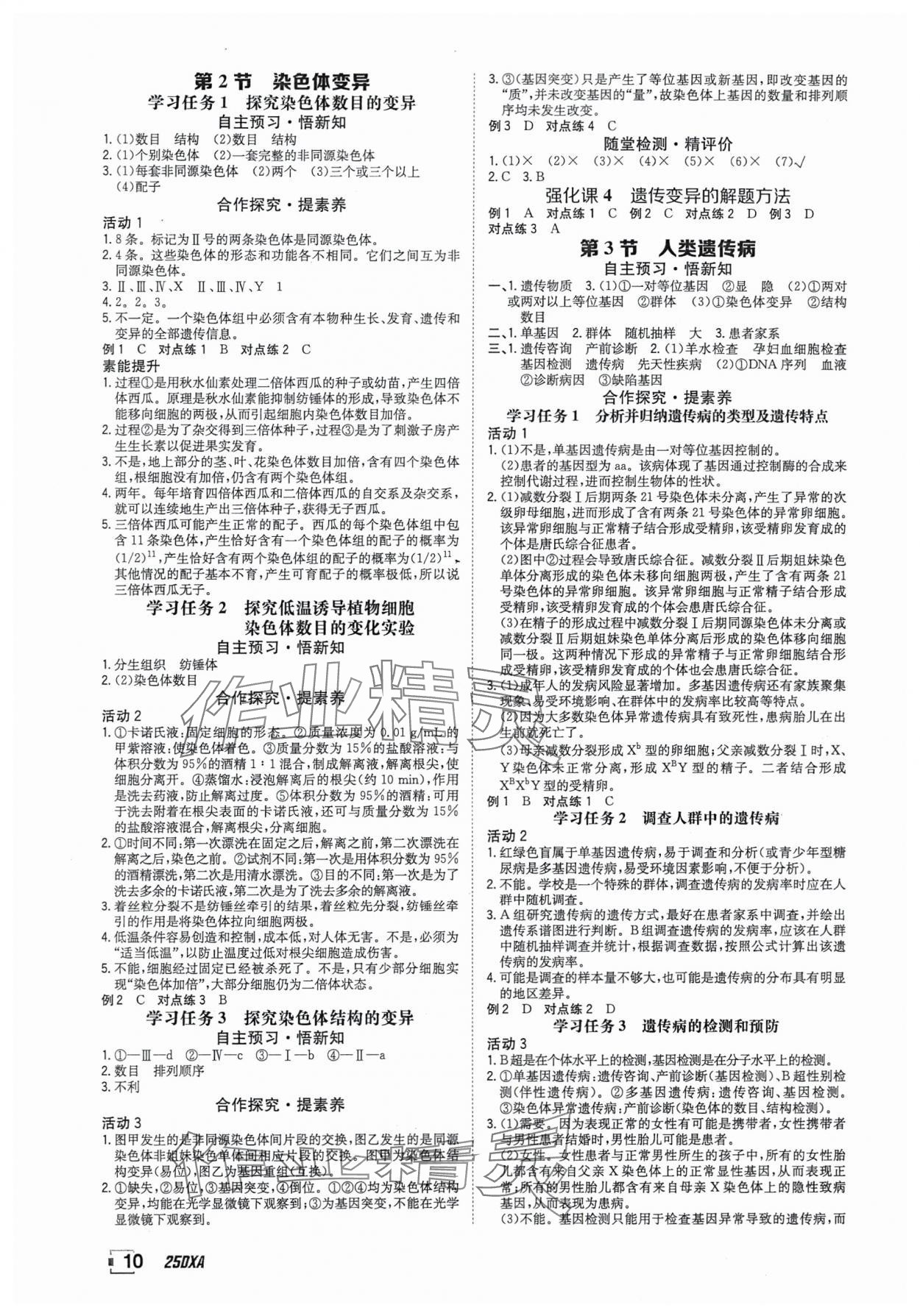 2025年金太阳导学案高中生物必修2人教版&nbsp;参考答案第10页