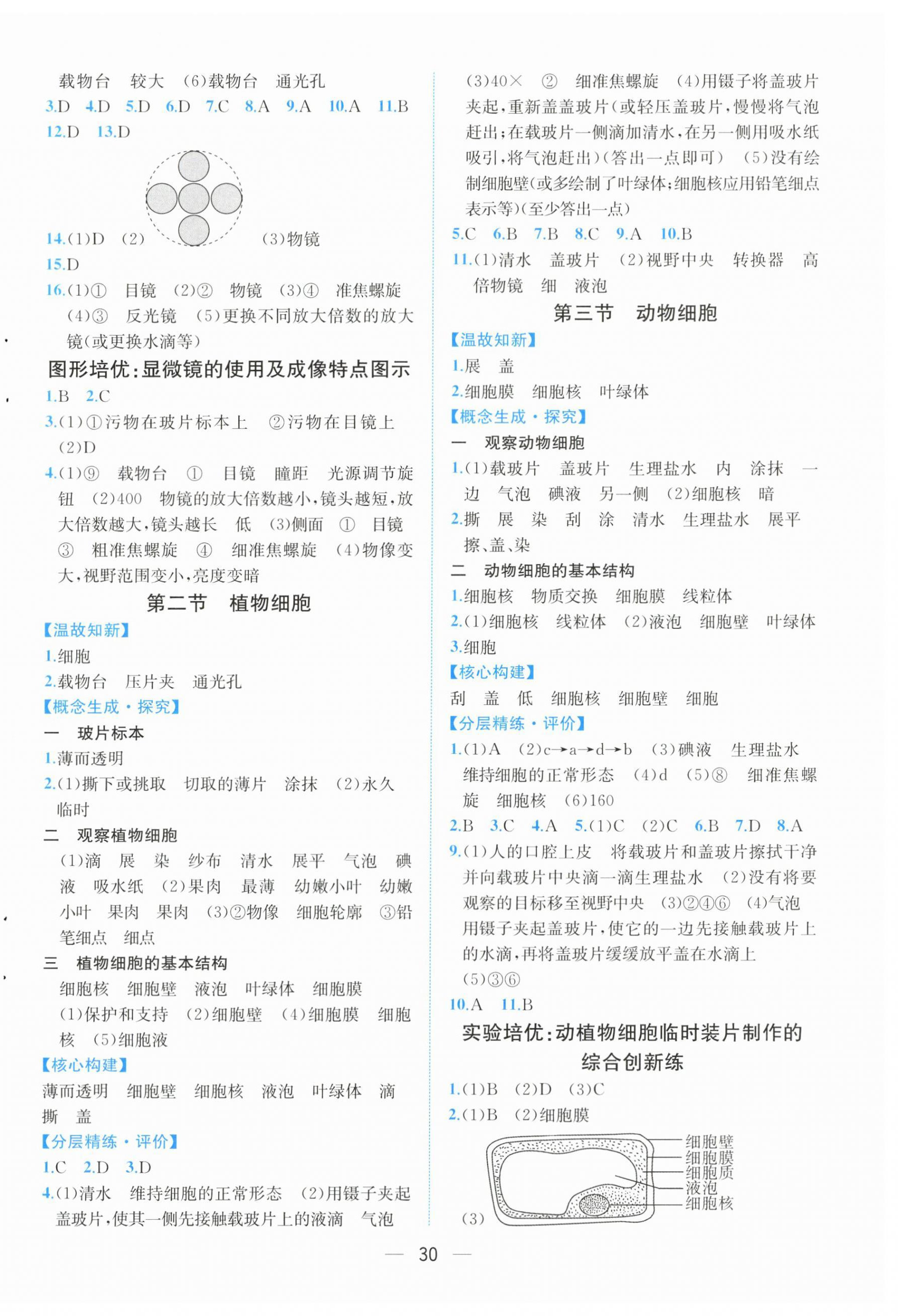2025年人教金学典同步解析与测评七年级生物上册人教版云南专版&nbsp;第2页