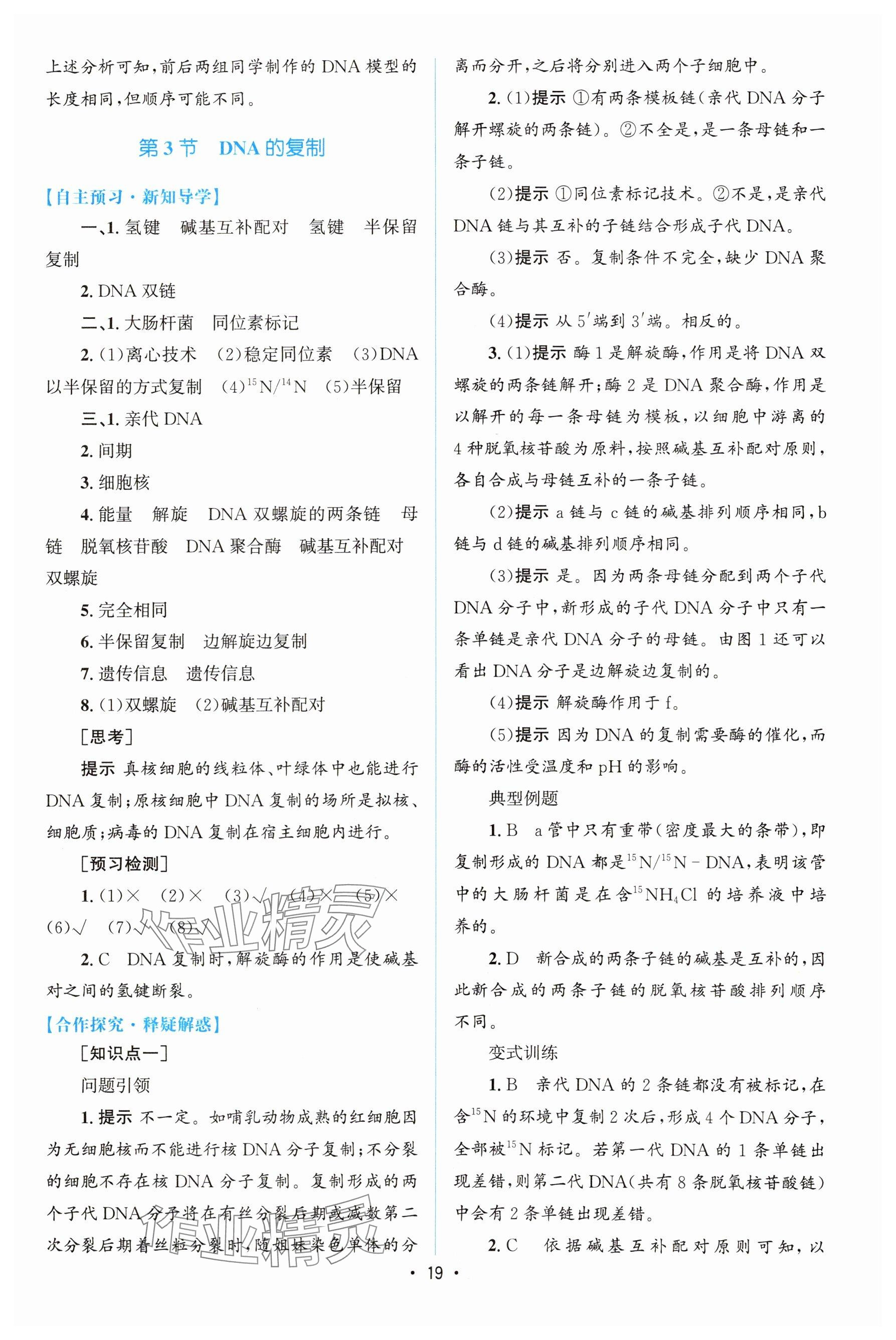 2024年高中同步测控优化设计高中生物必修2人教版增强版&nbsp;参考答案第18页