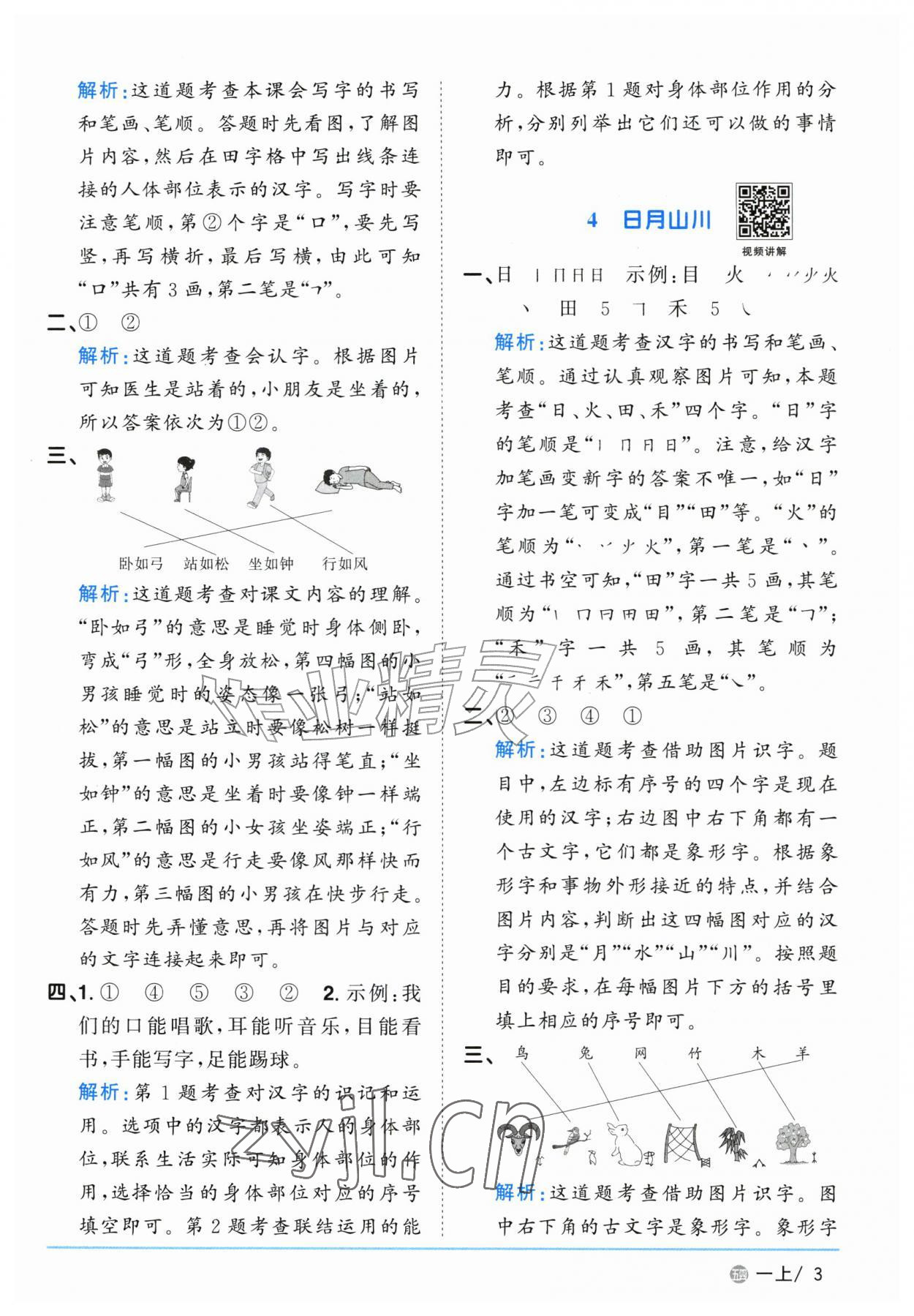 2026年阳光同学课时优化作业一年级语文上册人教版五四制&nbsp;参考答案第3页