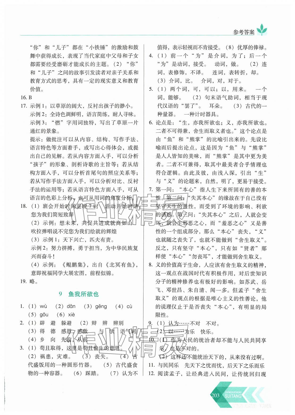 2024年随堂同步练习九年级语文下册人教版&nbsp;参考答案第8页