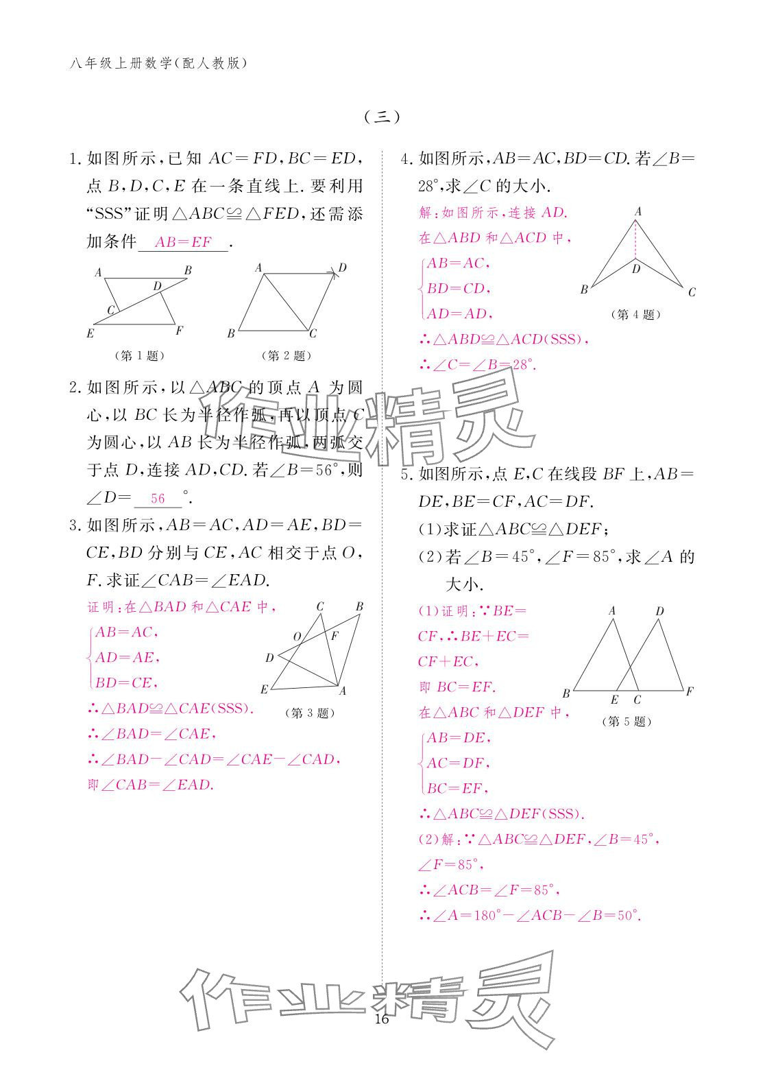 2025年作业本江西教育出版社八年级数学上册人教版&nbsp;参考答案第16页