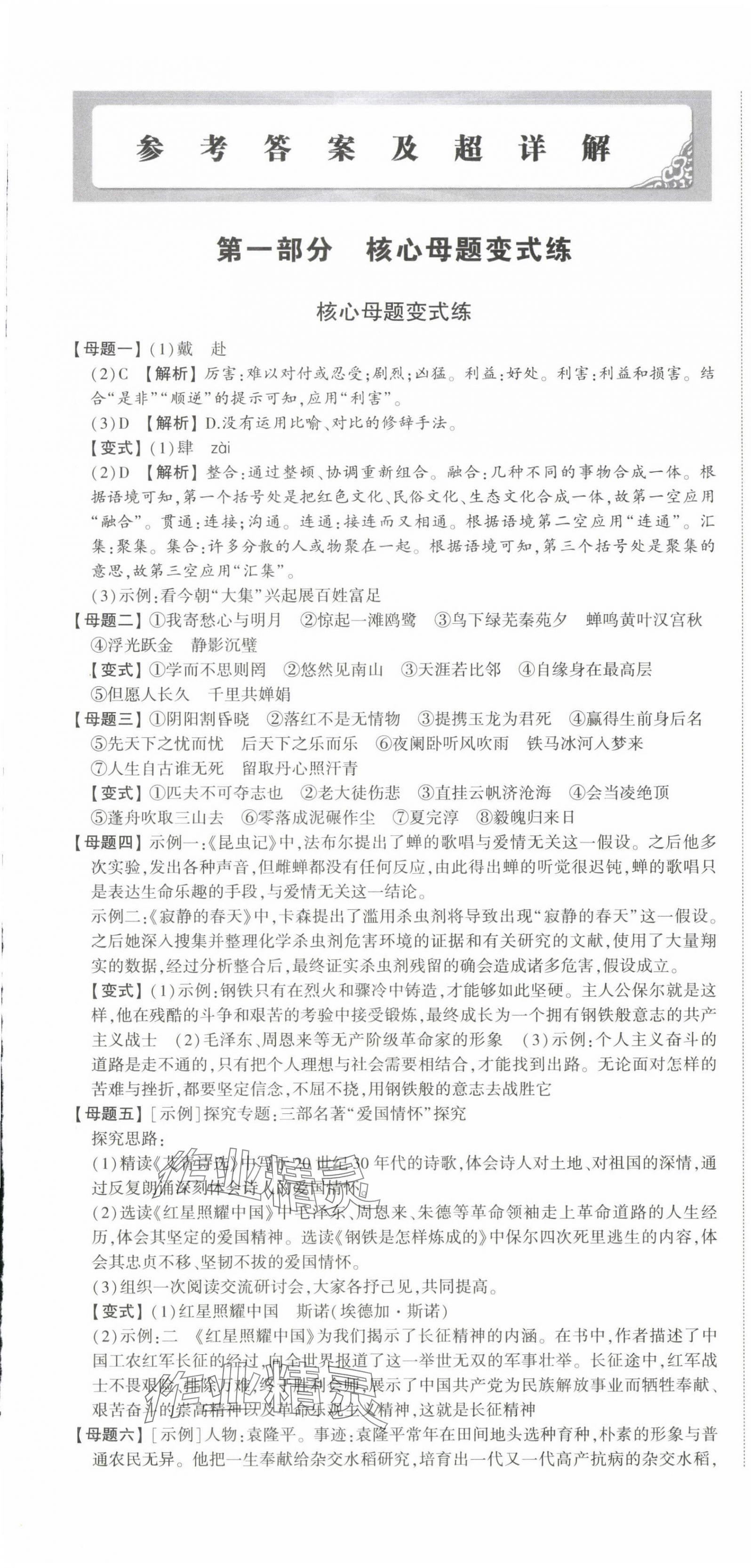 2024年星跃龙门中考真题分类卷语文山东专版&nbsp;第1页