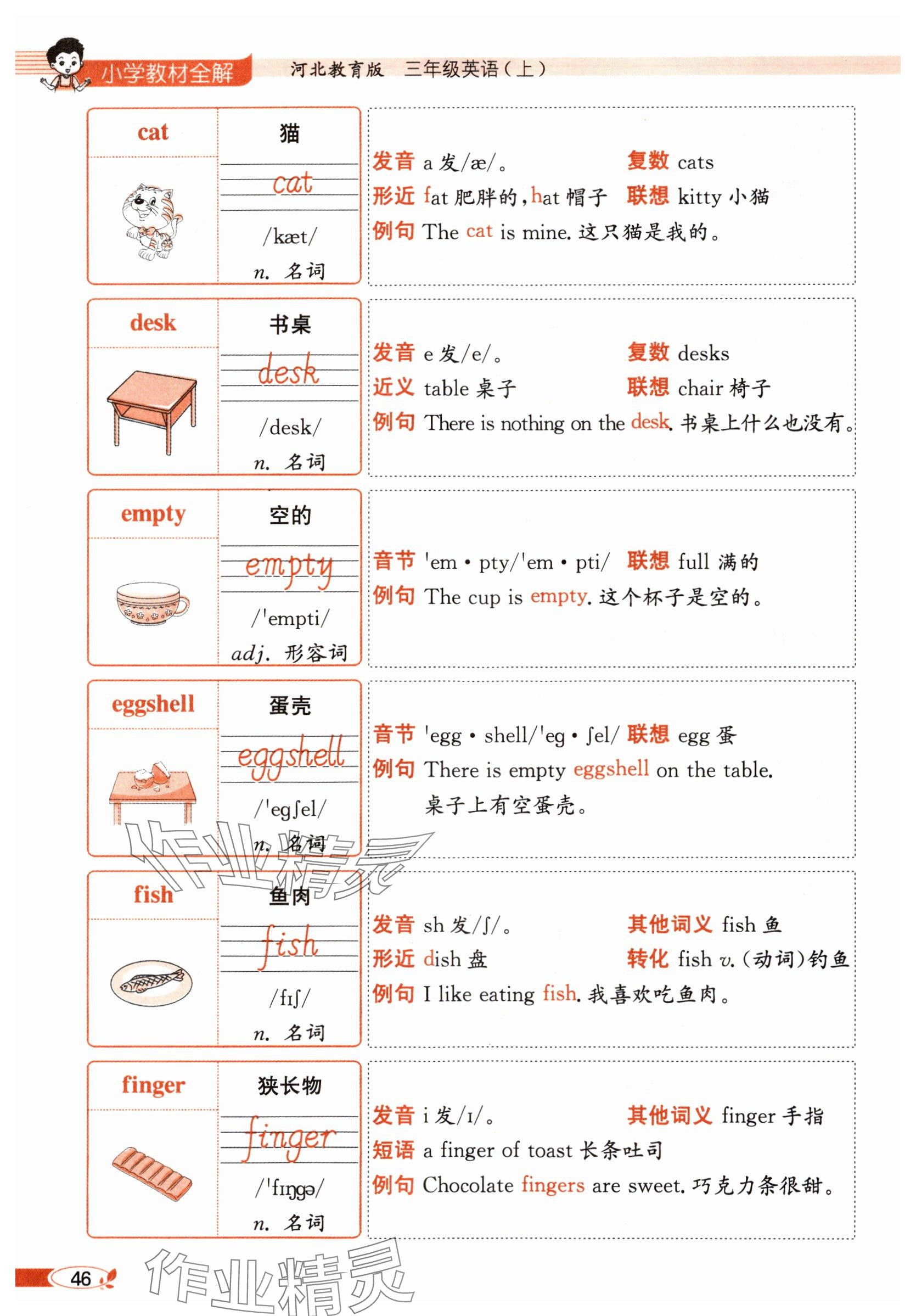 2025年教材课本三年级英语上册冀教版&nbsp;参考答案第46页