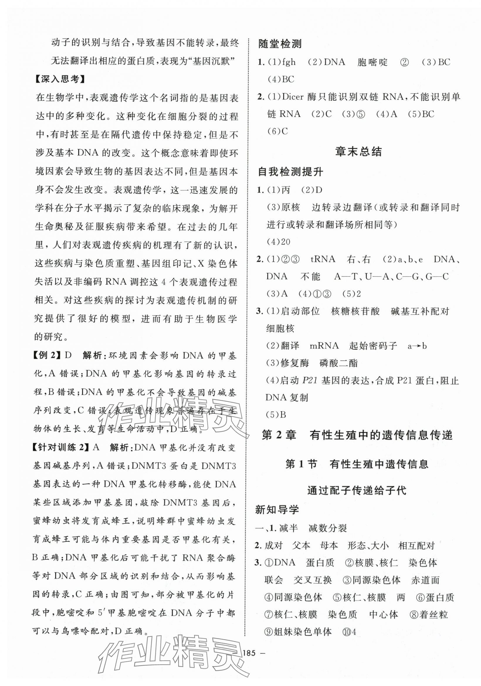 2024年钟书金牌金典导学案高中生物必修2沪教版&nbsp;第5页