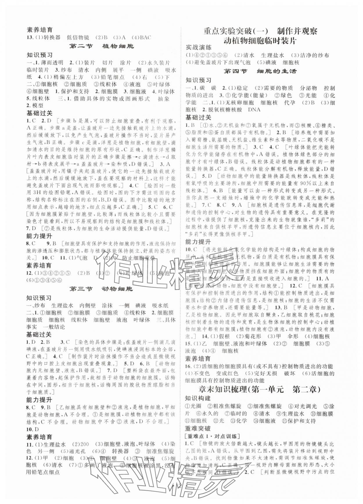 2025年思路教练同步课时作业七年级生物上册人教版&nbsp;第2页