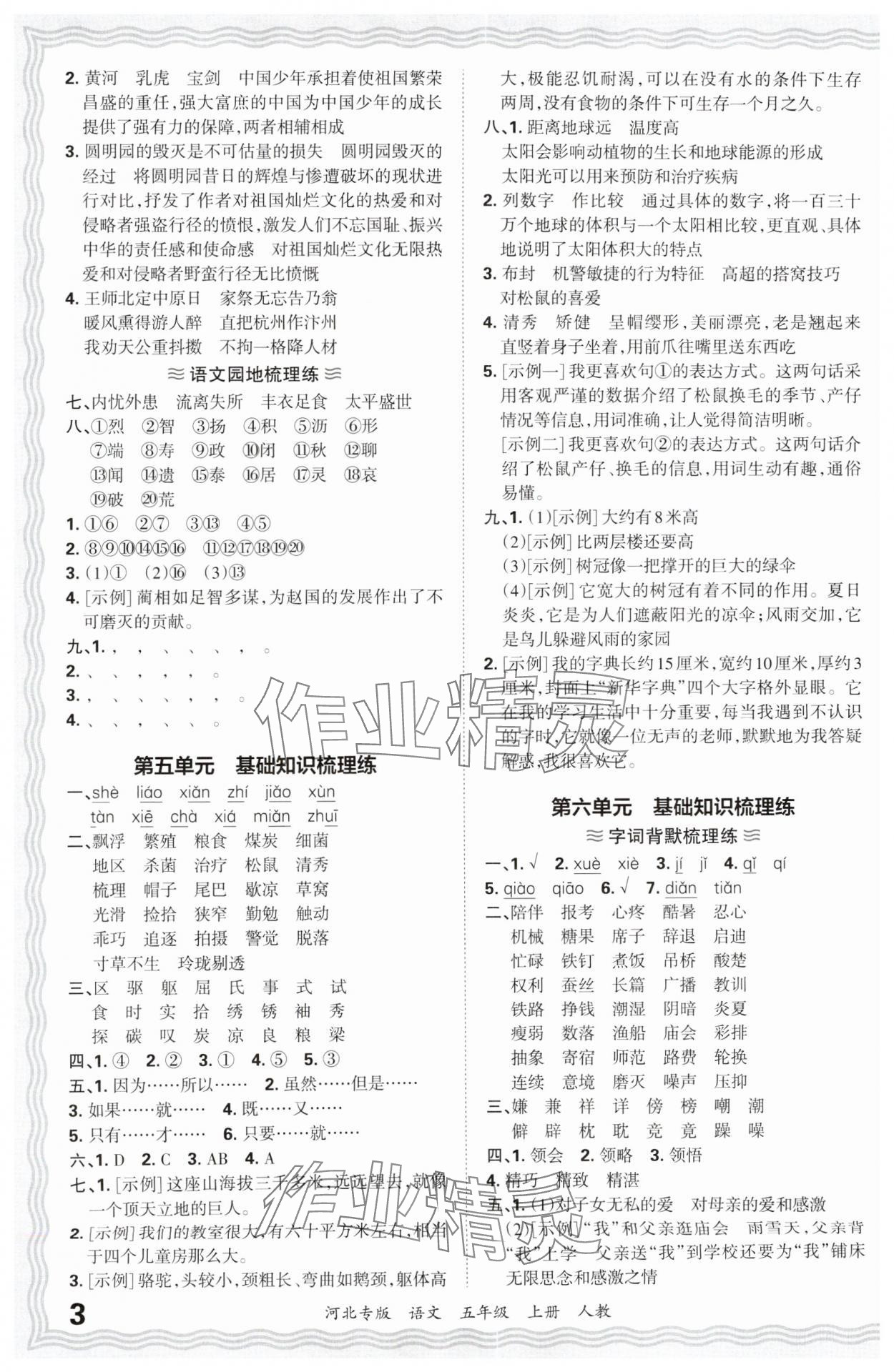 2024年王朝霞各地期末试卷精选五年级语文上册人教版河北专版&nbsp;参考答案第3页